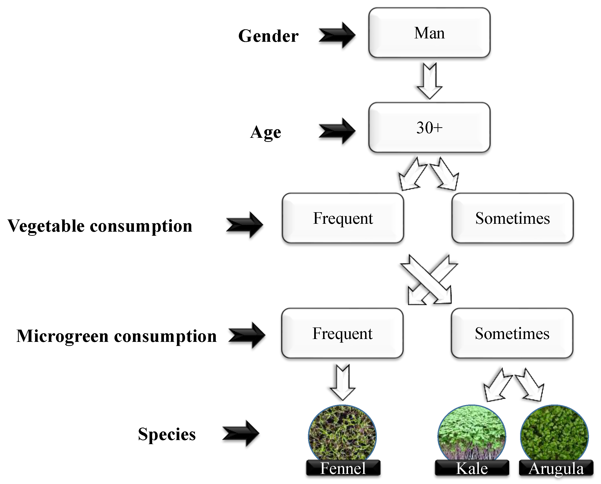 Plants 13 02787 g003