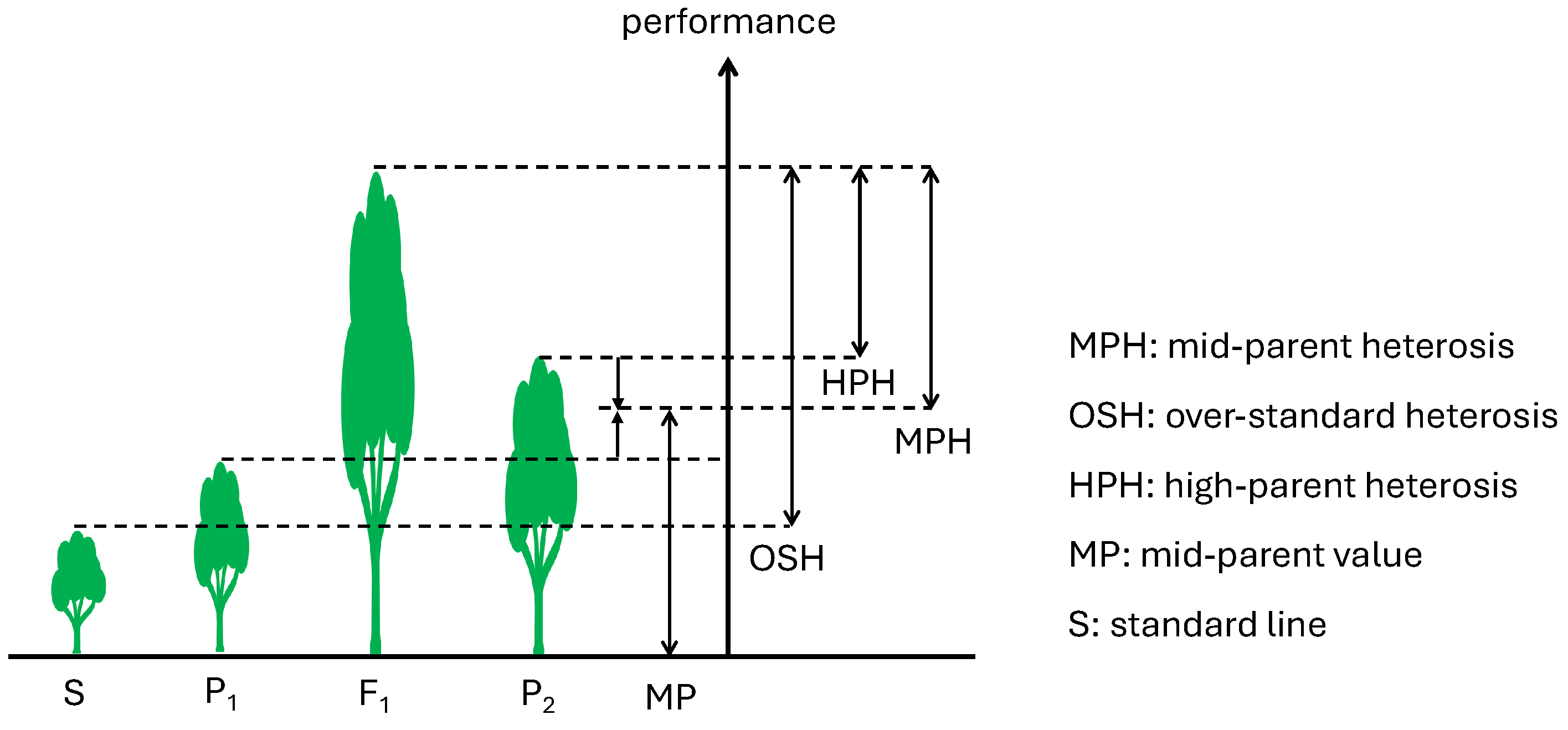 Plants 13 02790 g001