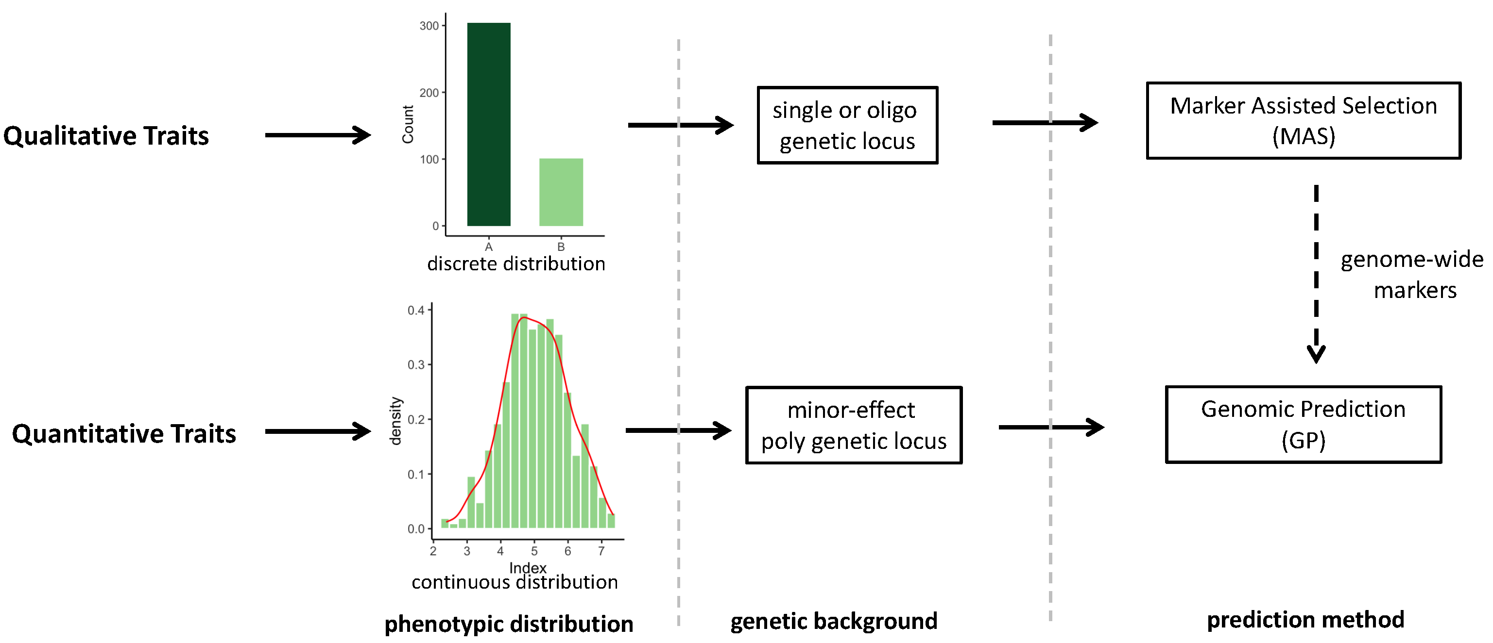 Plants 13 02790 g002
