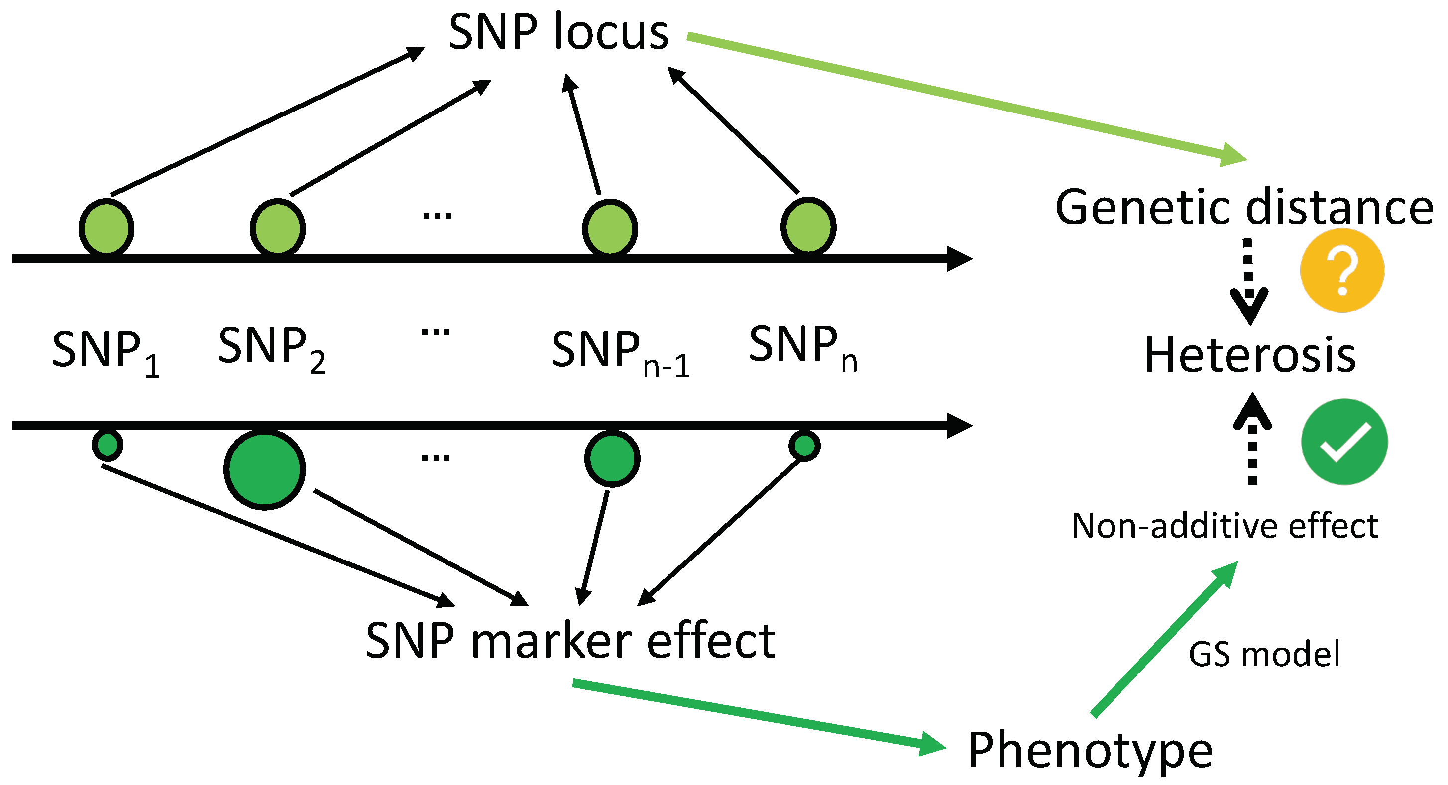 Plants 13 02790 g003