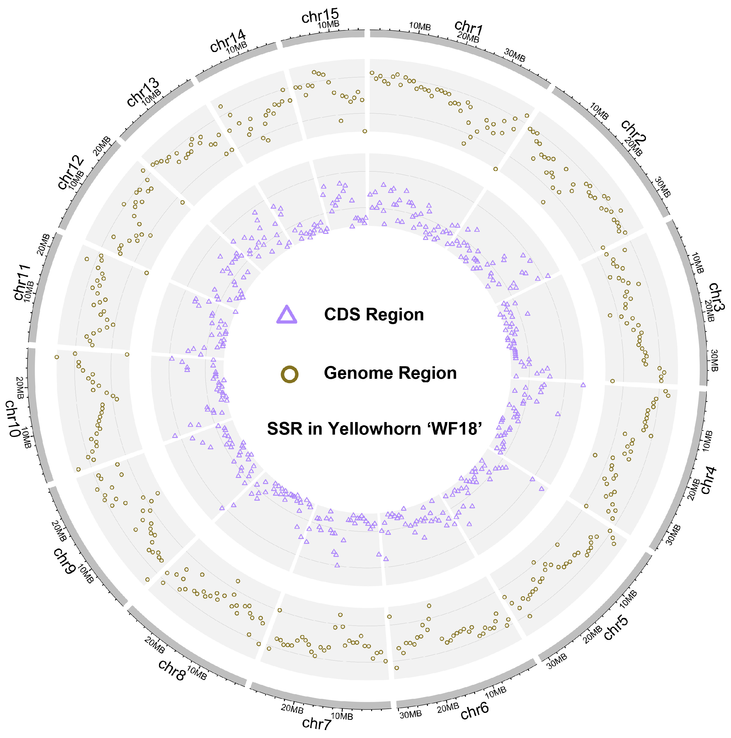 Plants 13 02794 g001