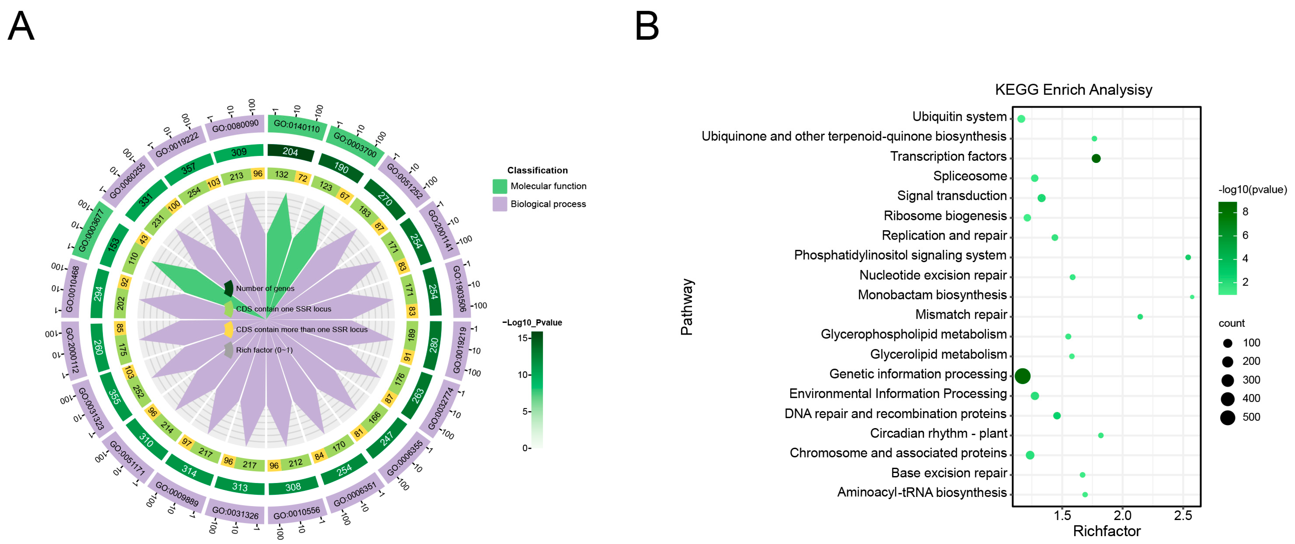 Plants 13 02794 g003