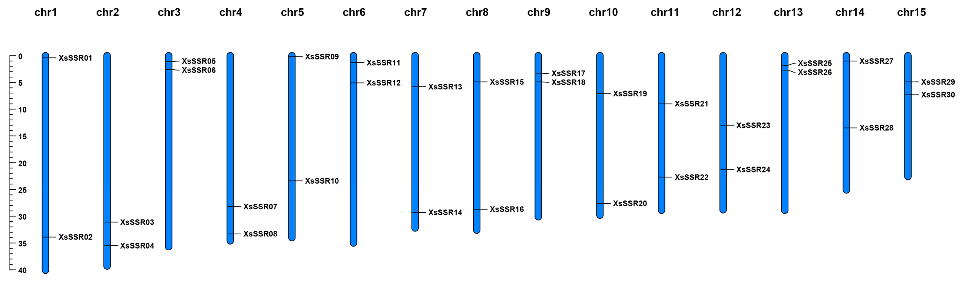 Plants 13 02794 g004