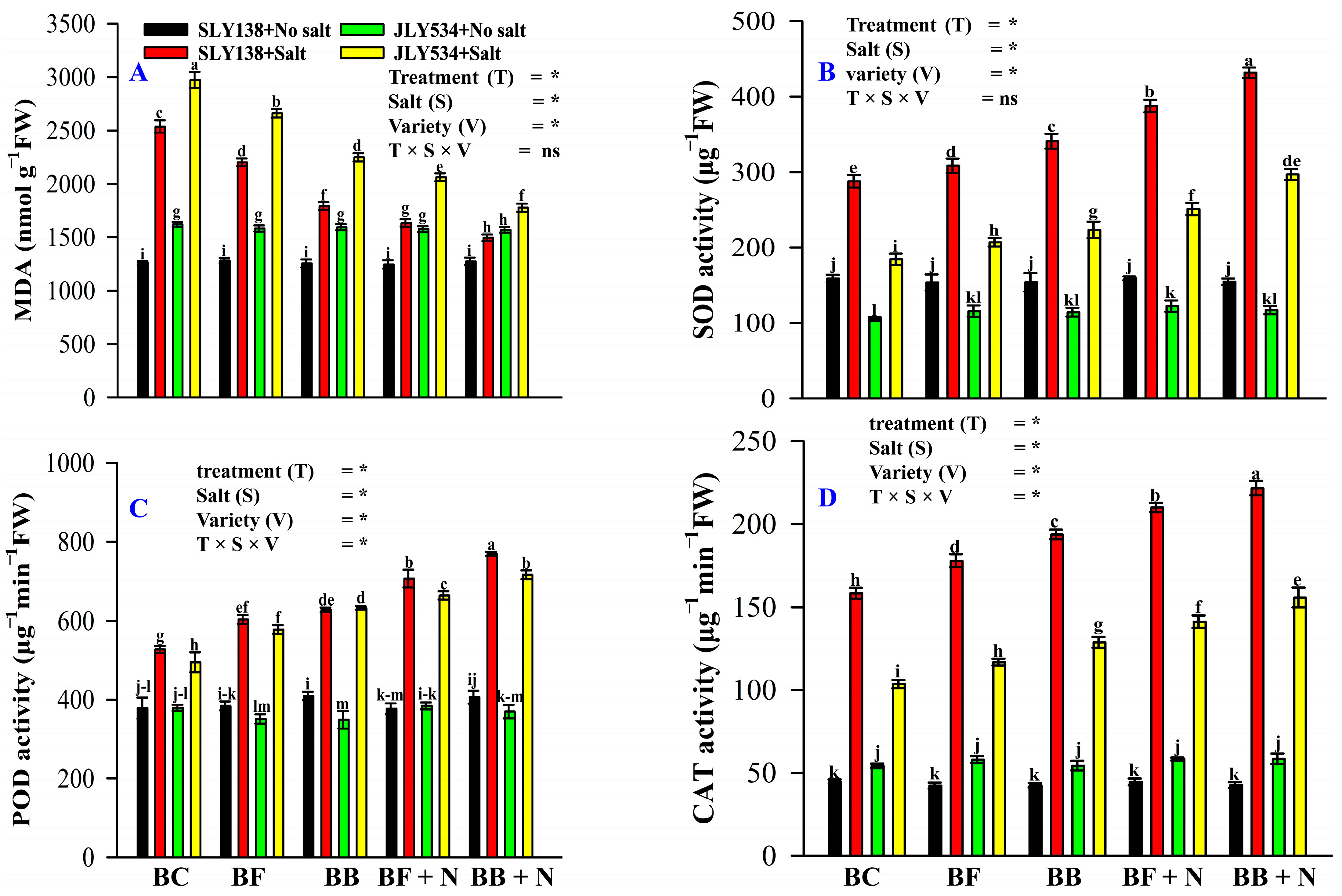 Plants 13 02804 g003