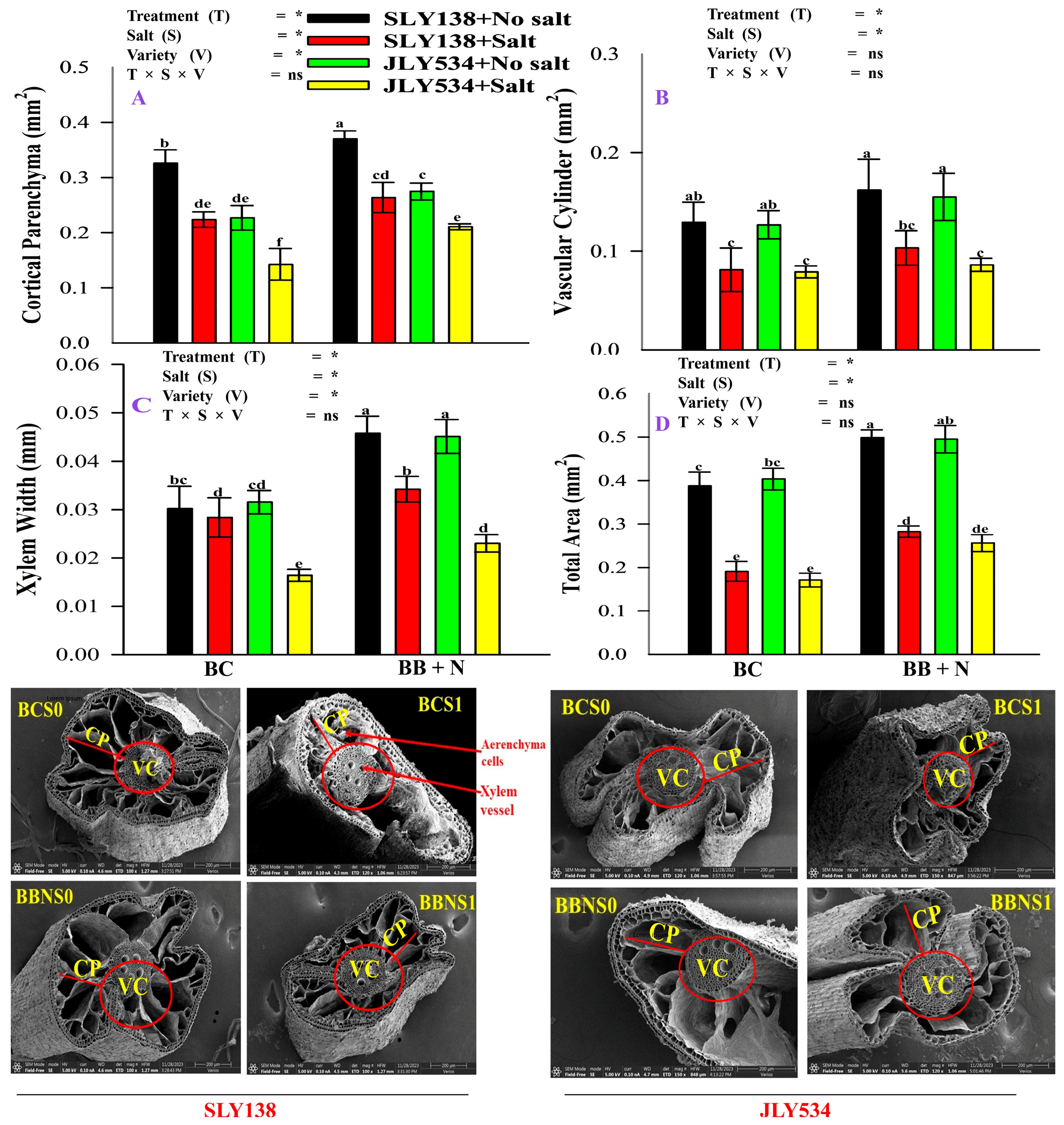 Plants 13 02804 g006
