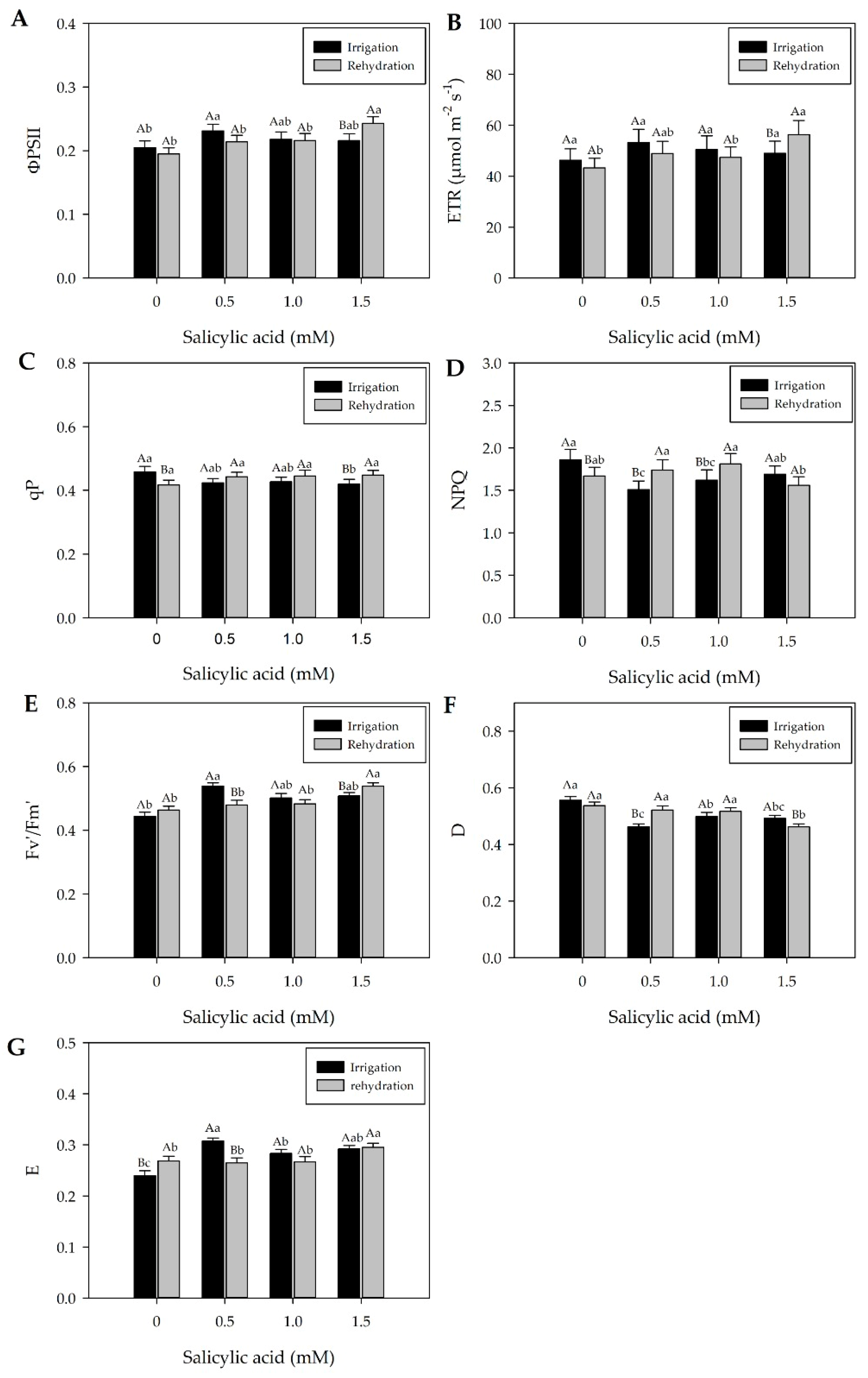 Plants 13 02805 g004 Plants 13 02805 g004