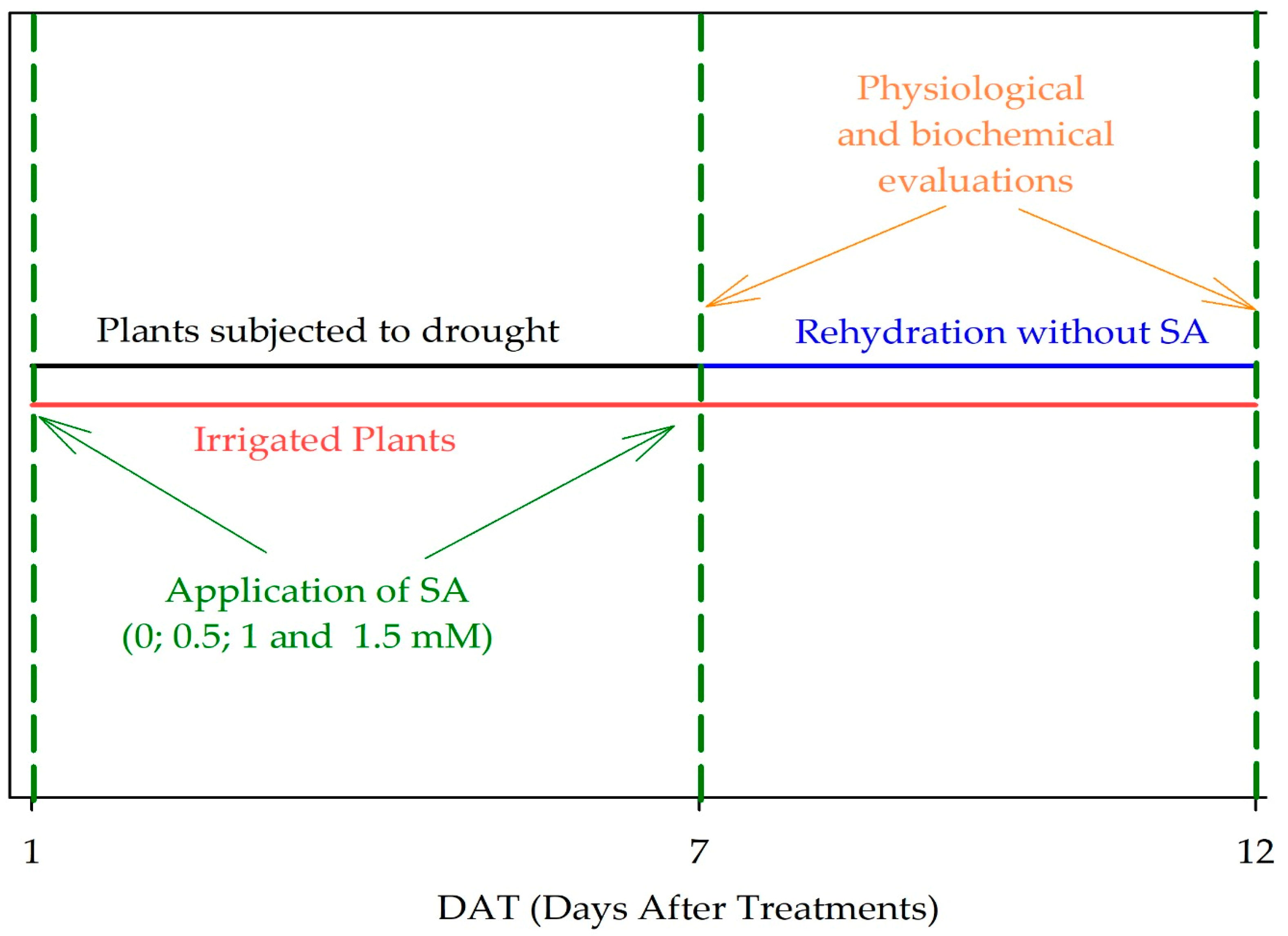 Plants 13 02805 g006 Plants 13 02805 g006
