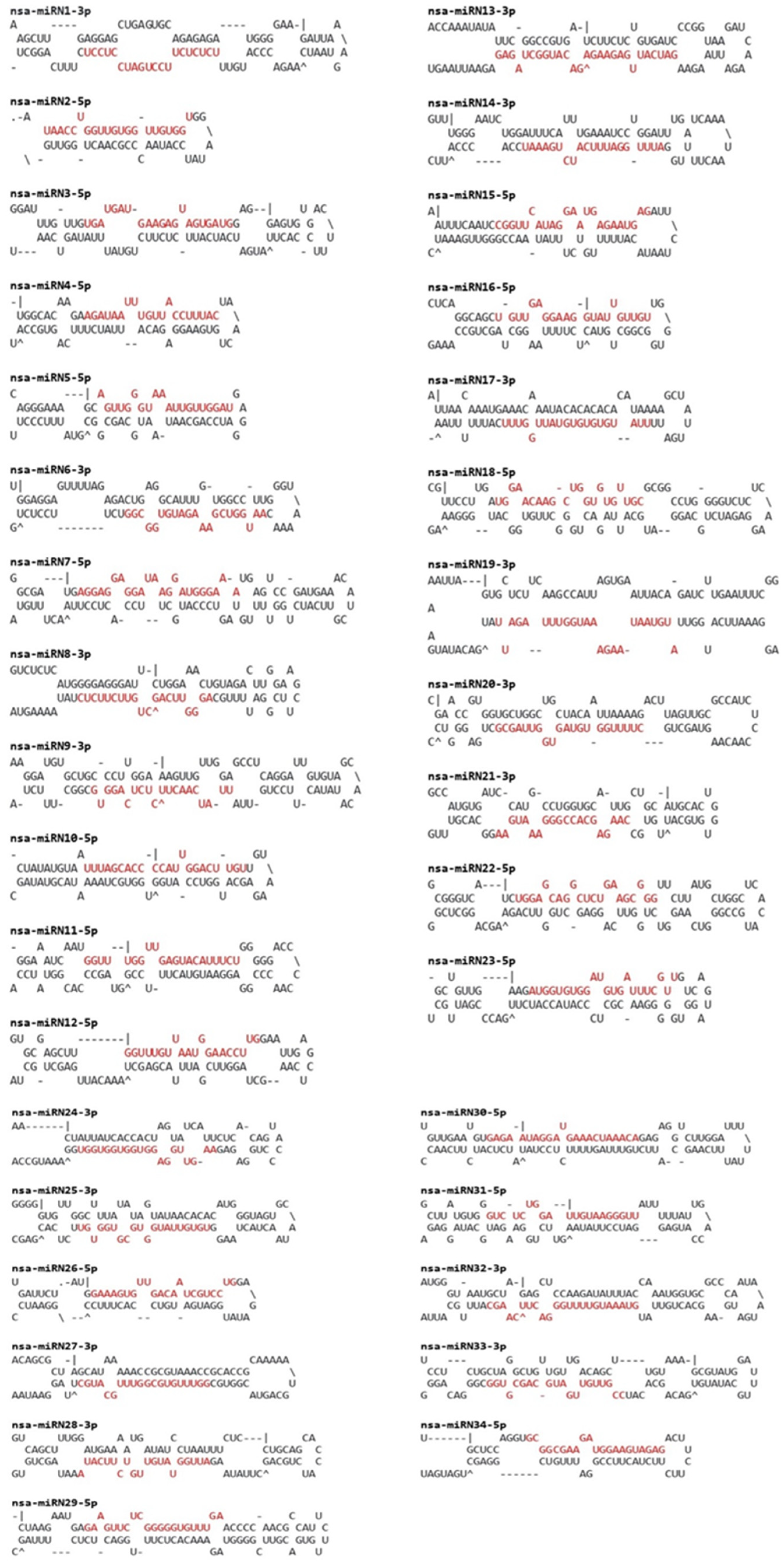 Plants 13 02806 g003