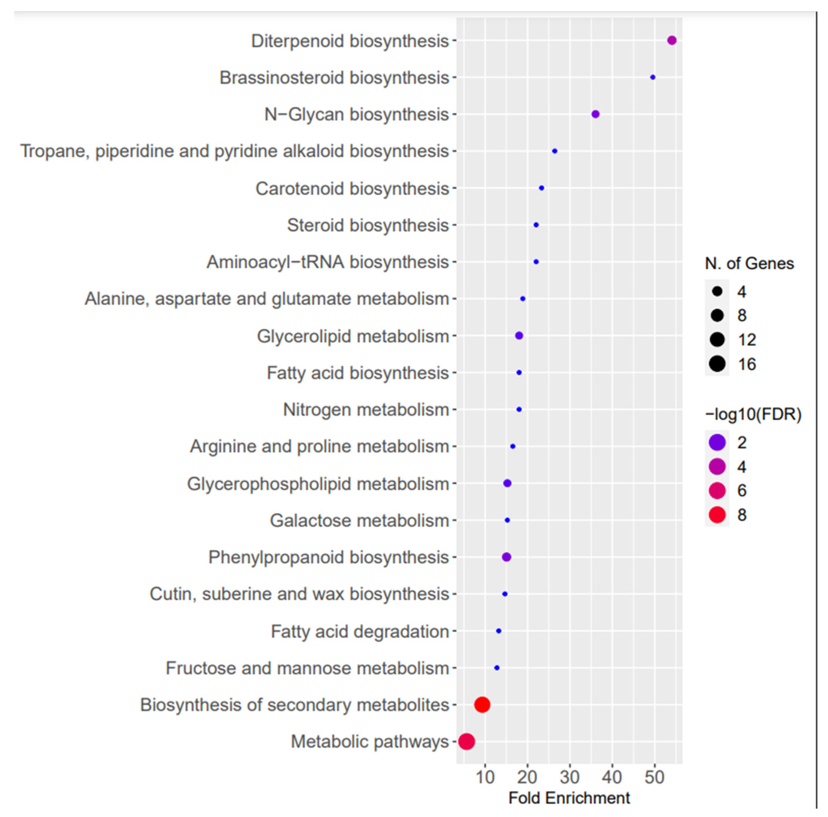 Plants 13 02806 g004
