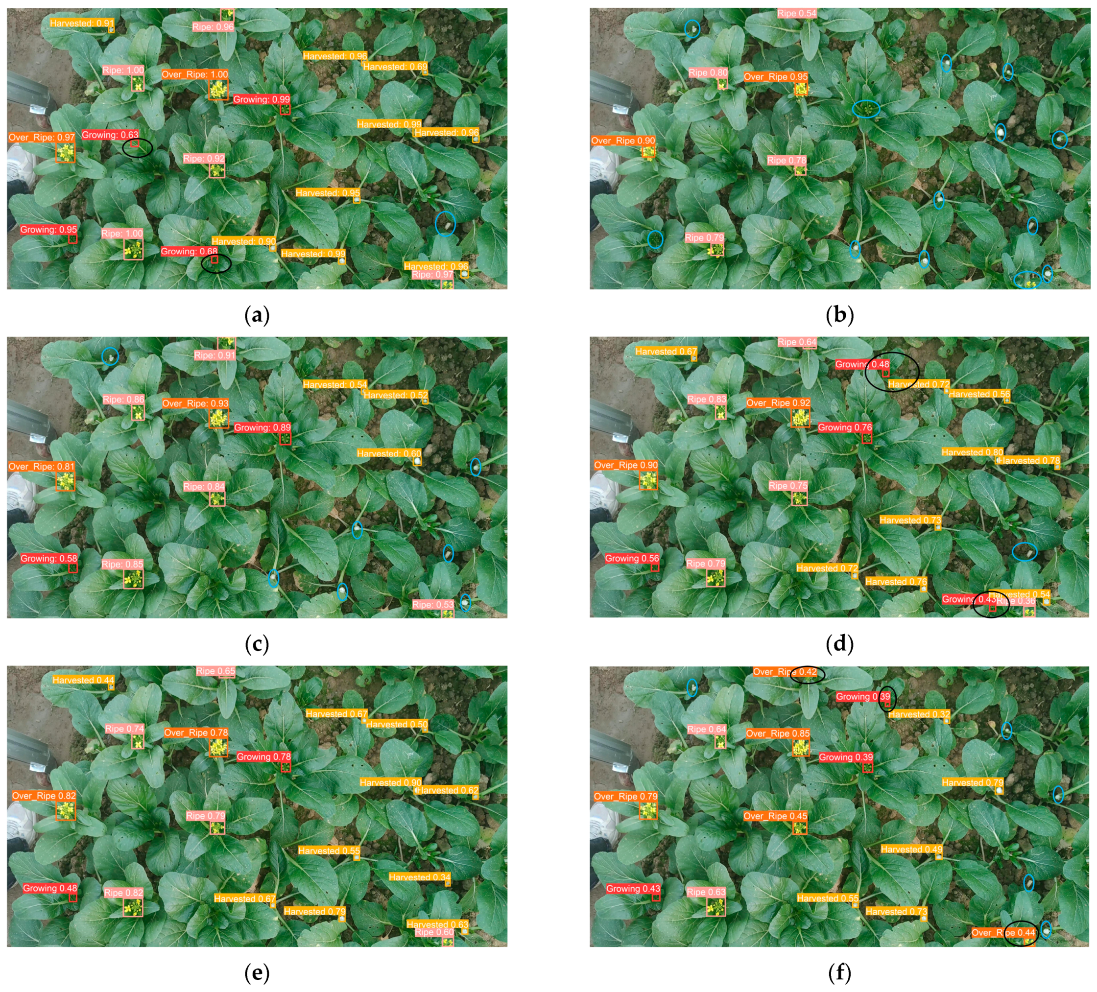 Plants 13 02808 g003a