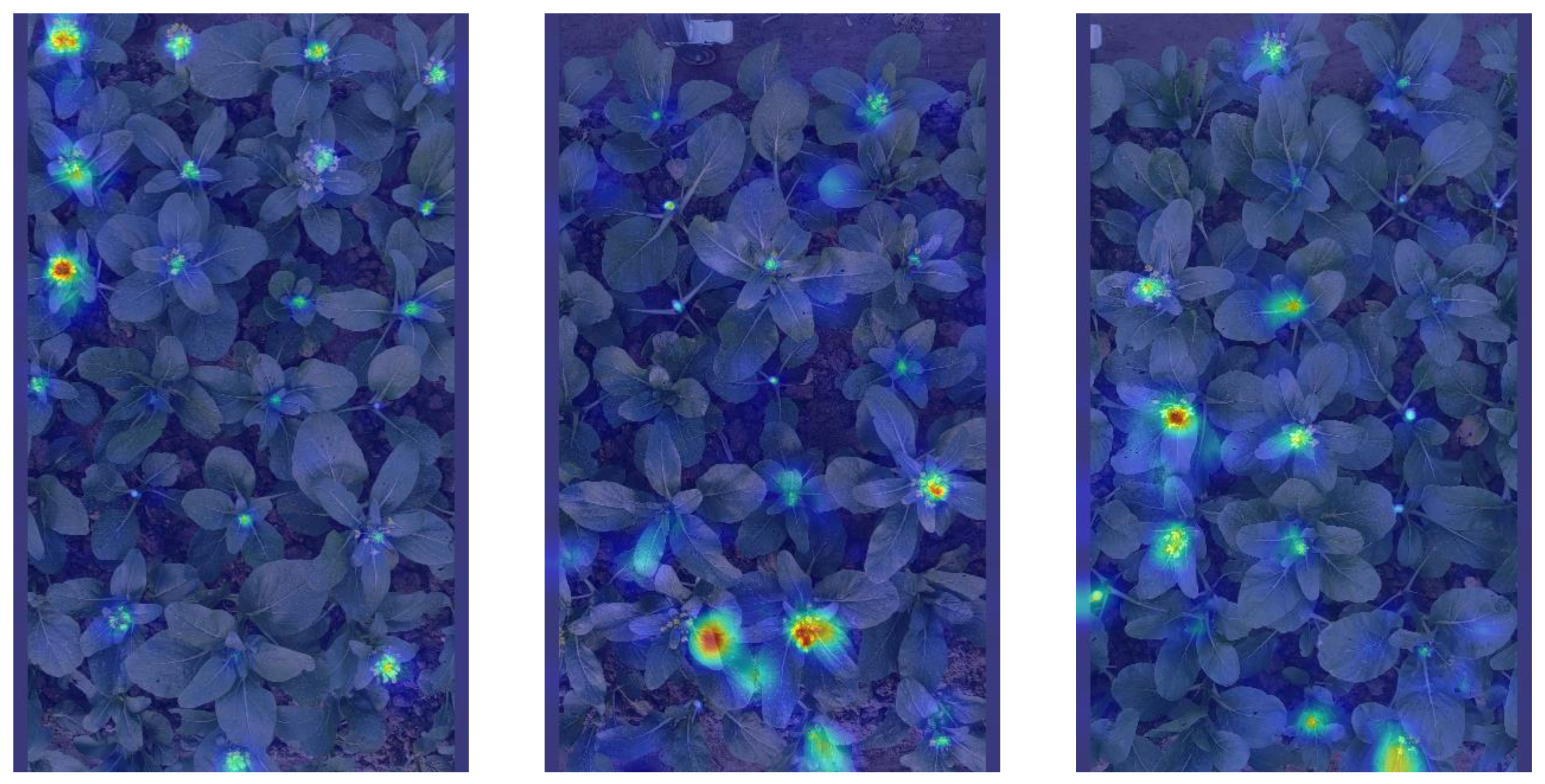 Plants 13 02808 g013