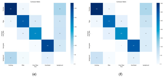 Plants 13 02808 g0a1b