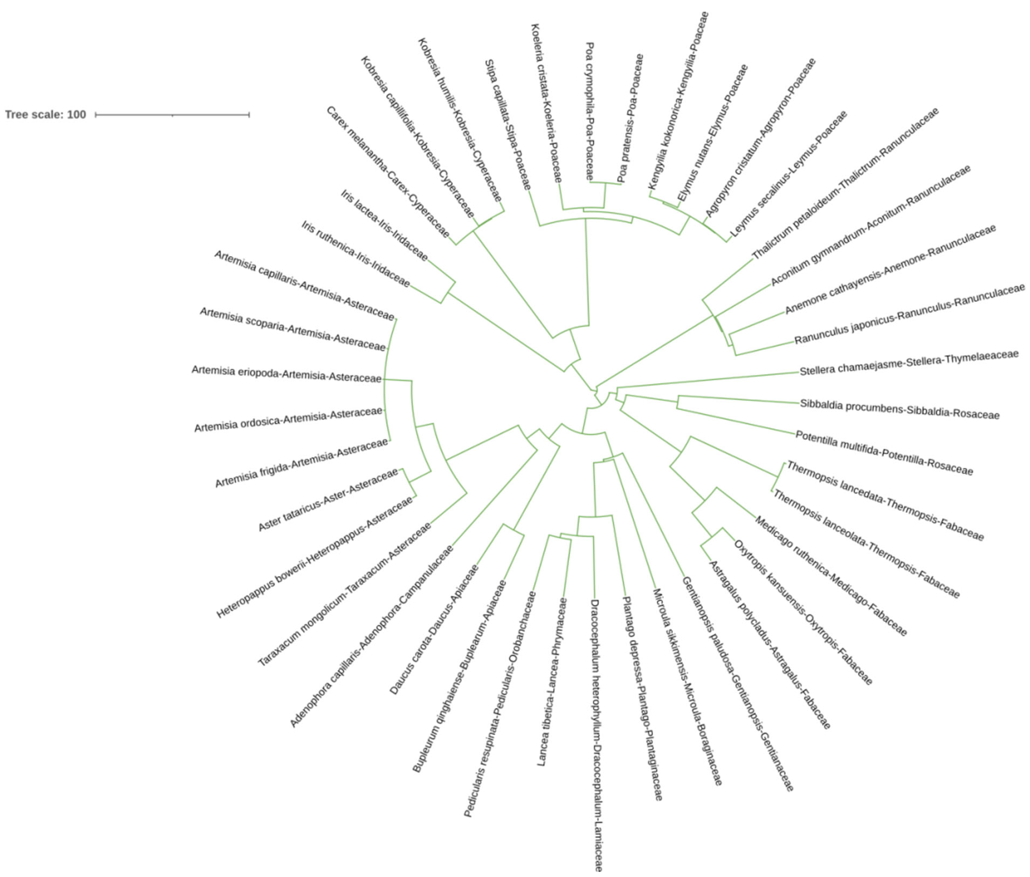 Plants 13 02809 g001