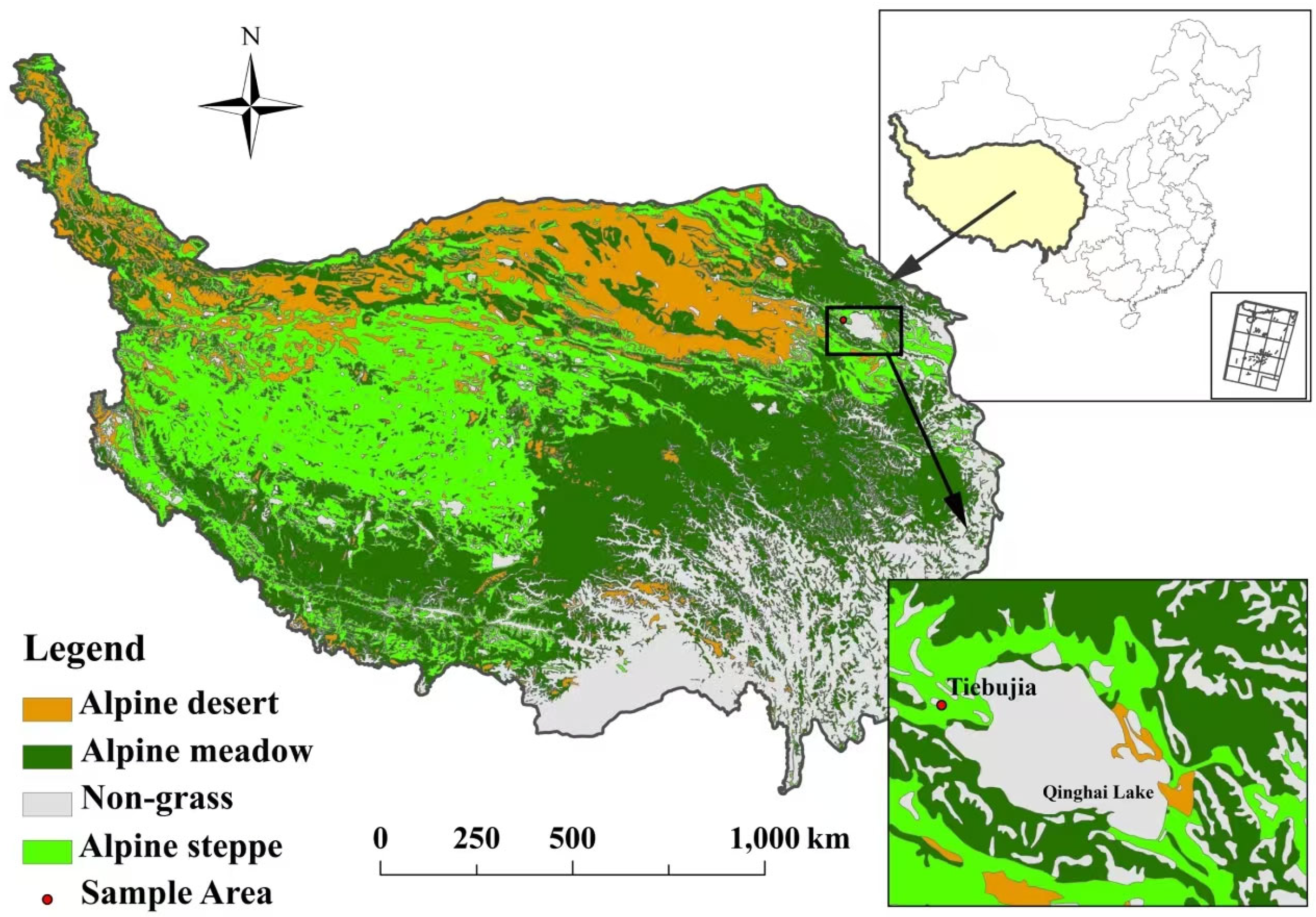 Plants 13 02809 g005