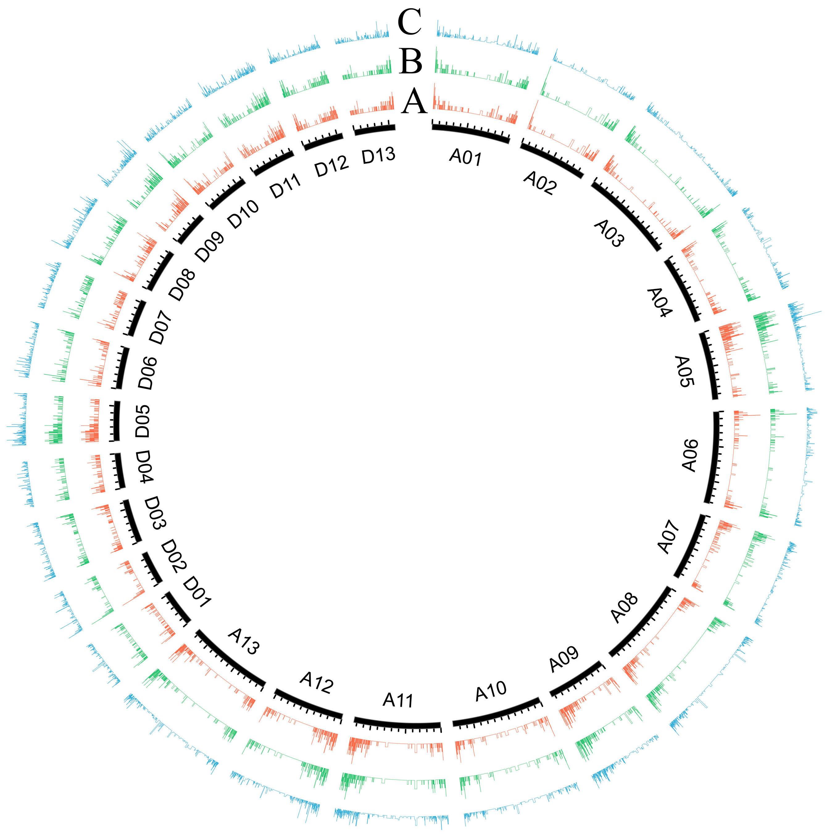 Plants 13 02816 g003