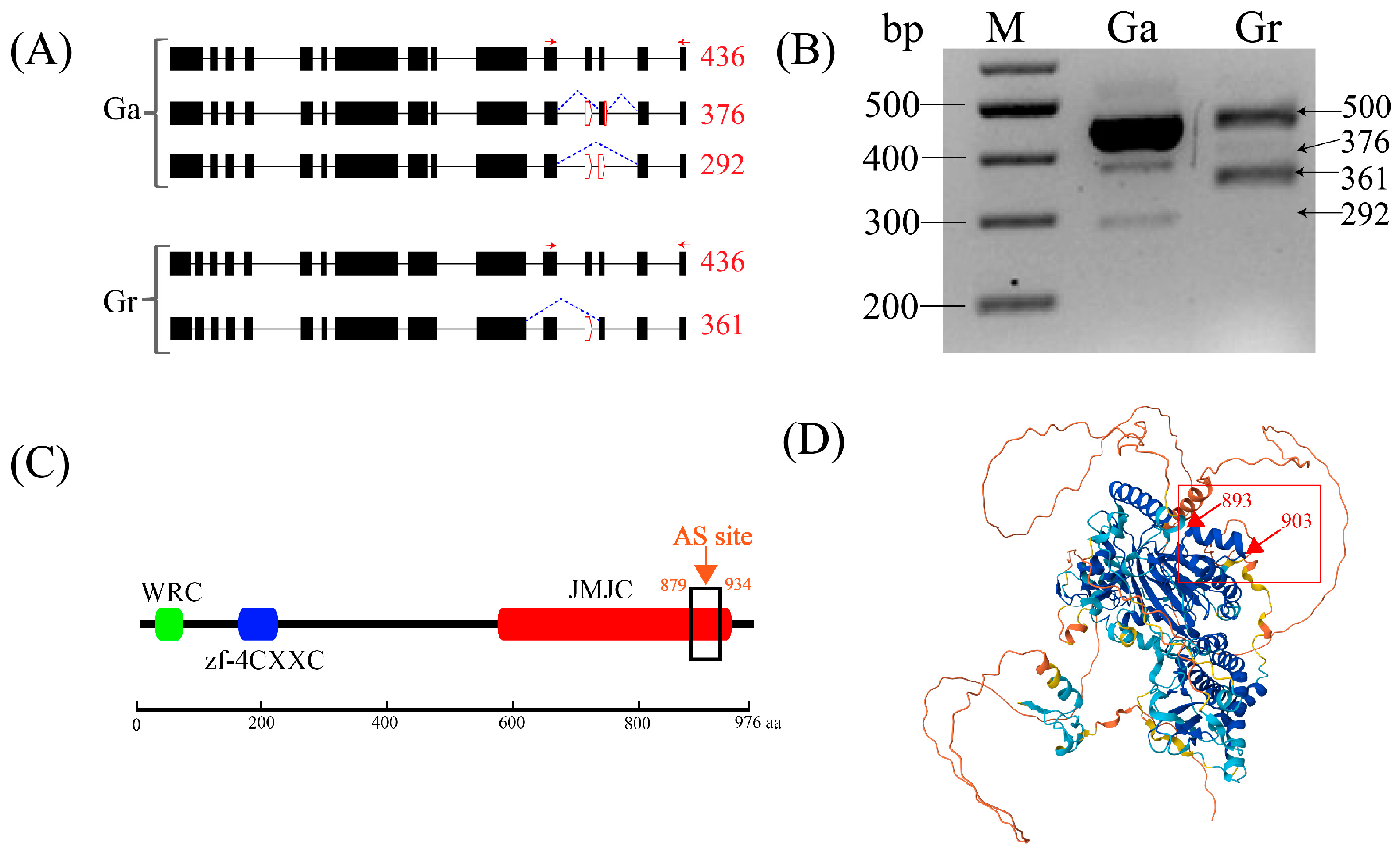 Plants 13 02816 g005