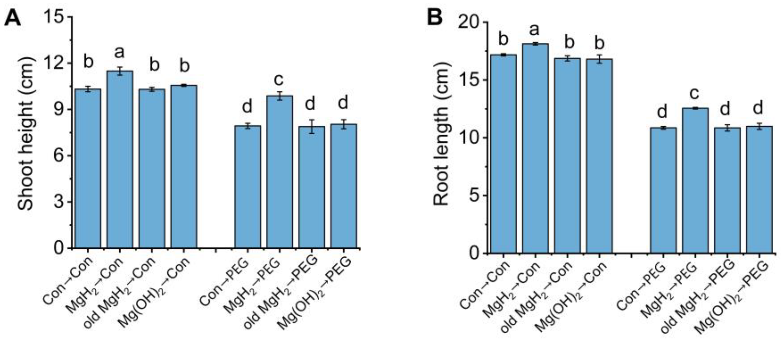 Plants 13 02819 g005