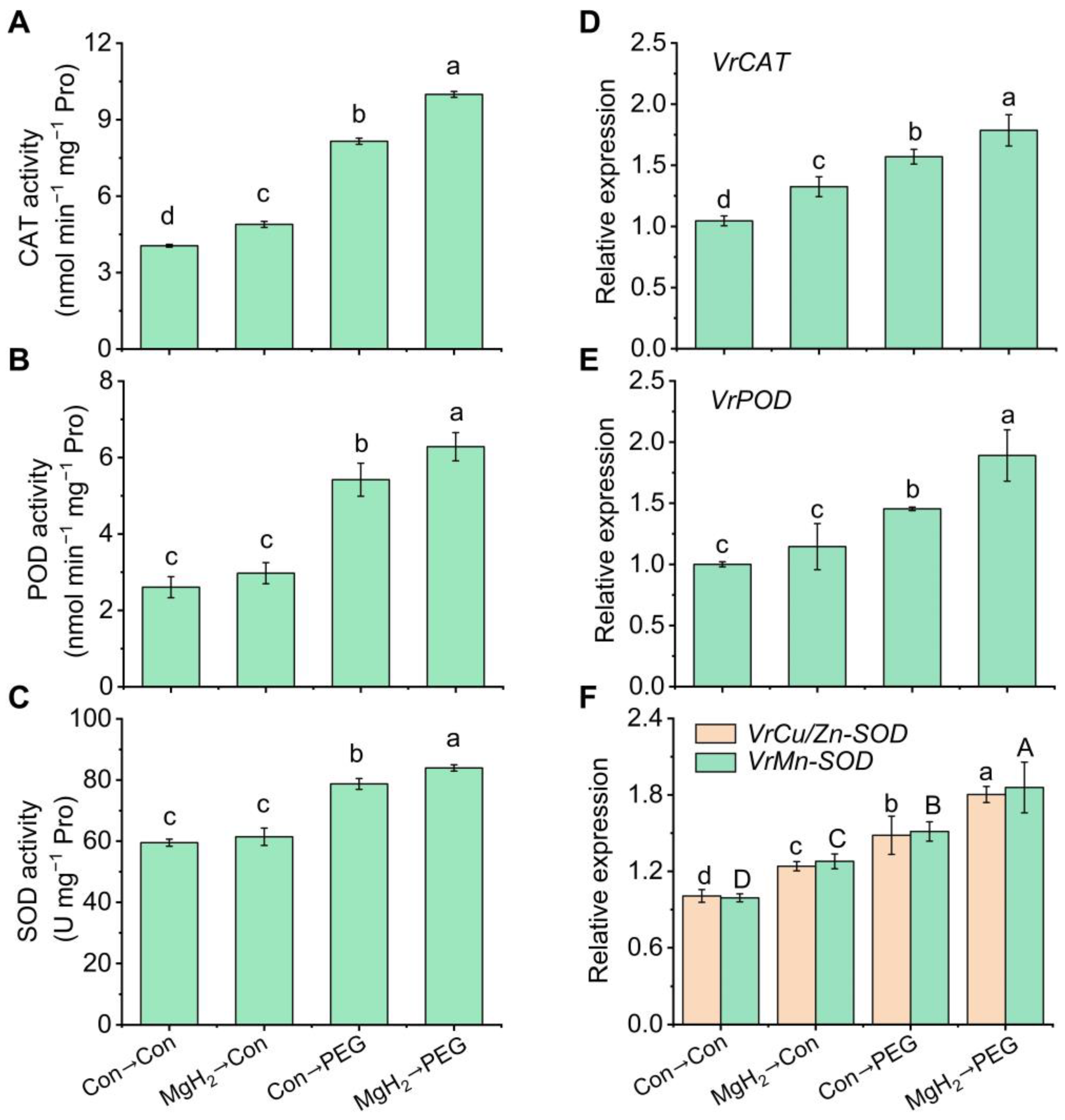 Plants 13 02819 g007