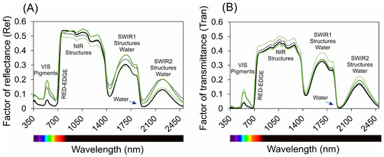 Plants 13 02831 g002a