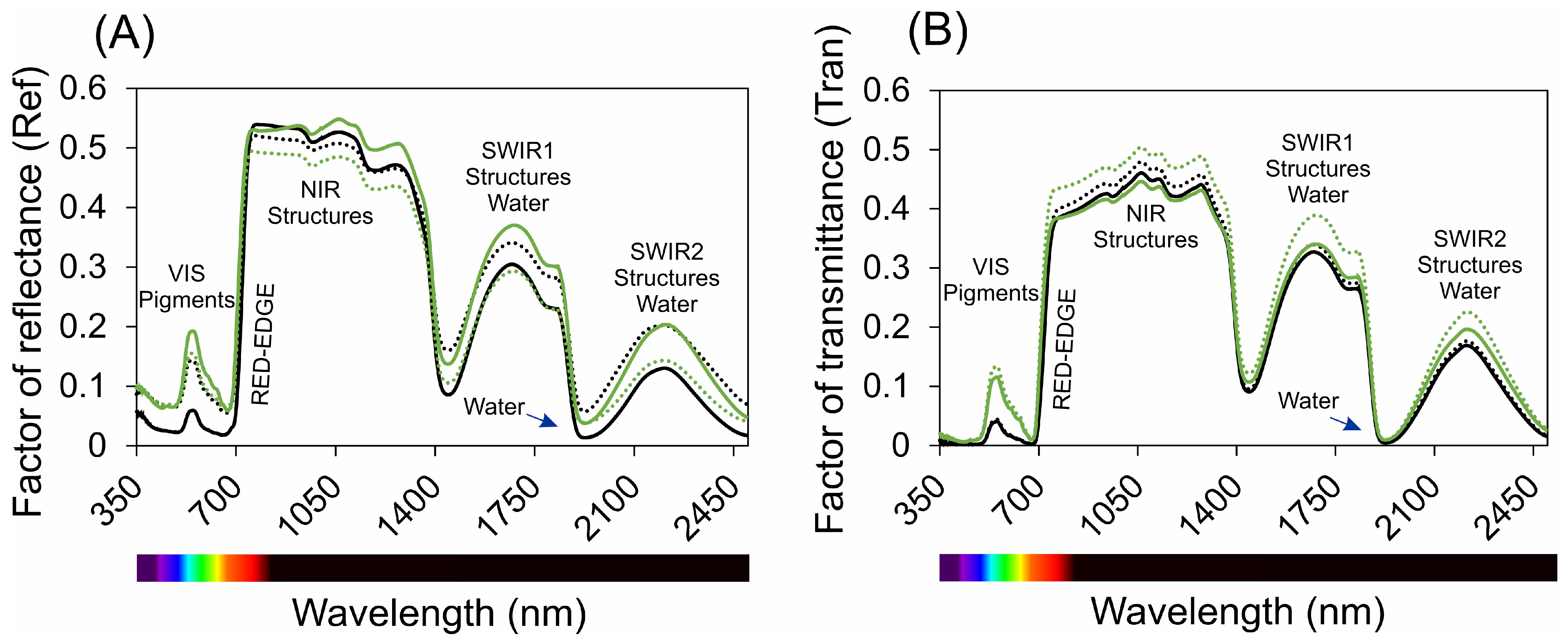 Plants 13 02831 g002a