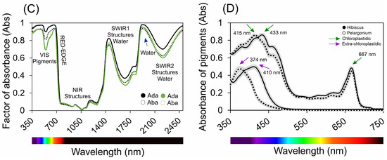 Plants 13 02831 g002b