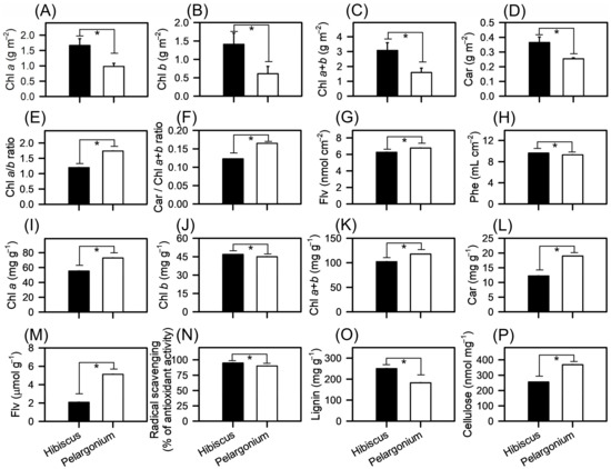 Plants 13 02831 g003