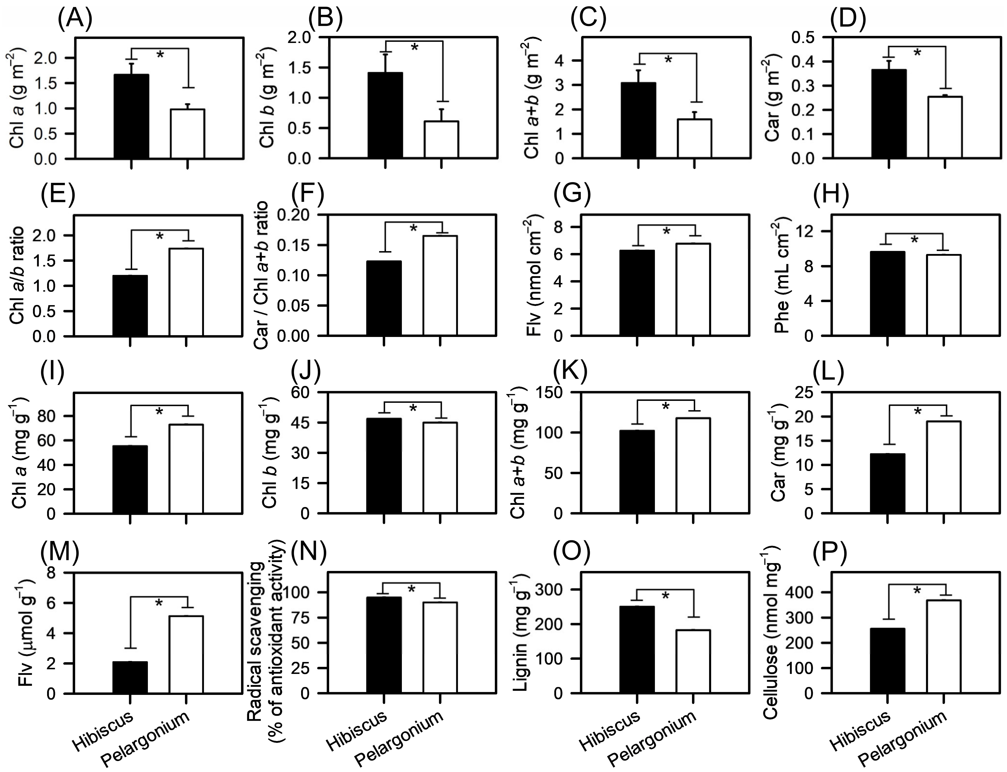 Plants 13 02831 g003