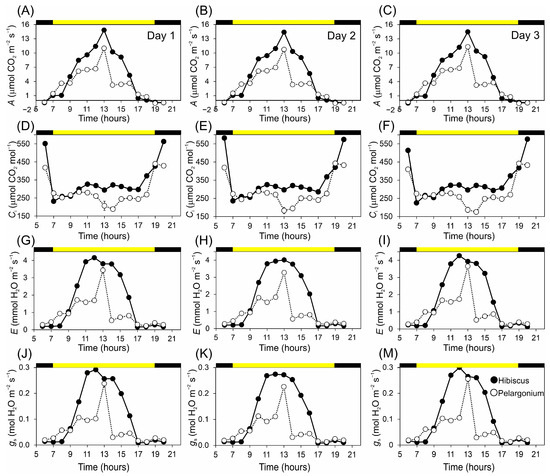Plants 13 02831 g004