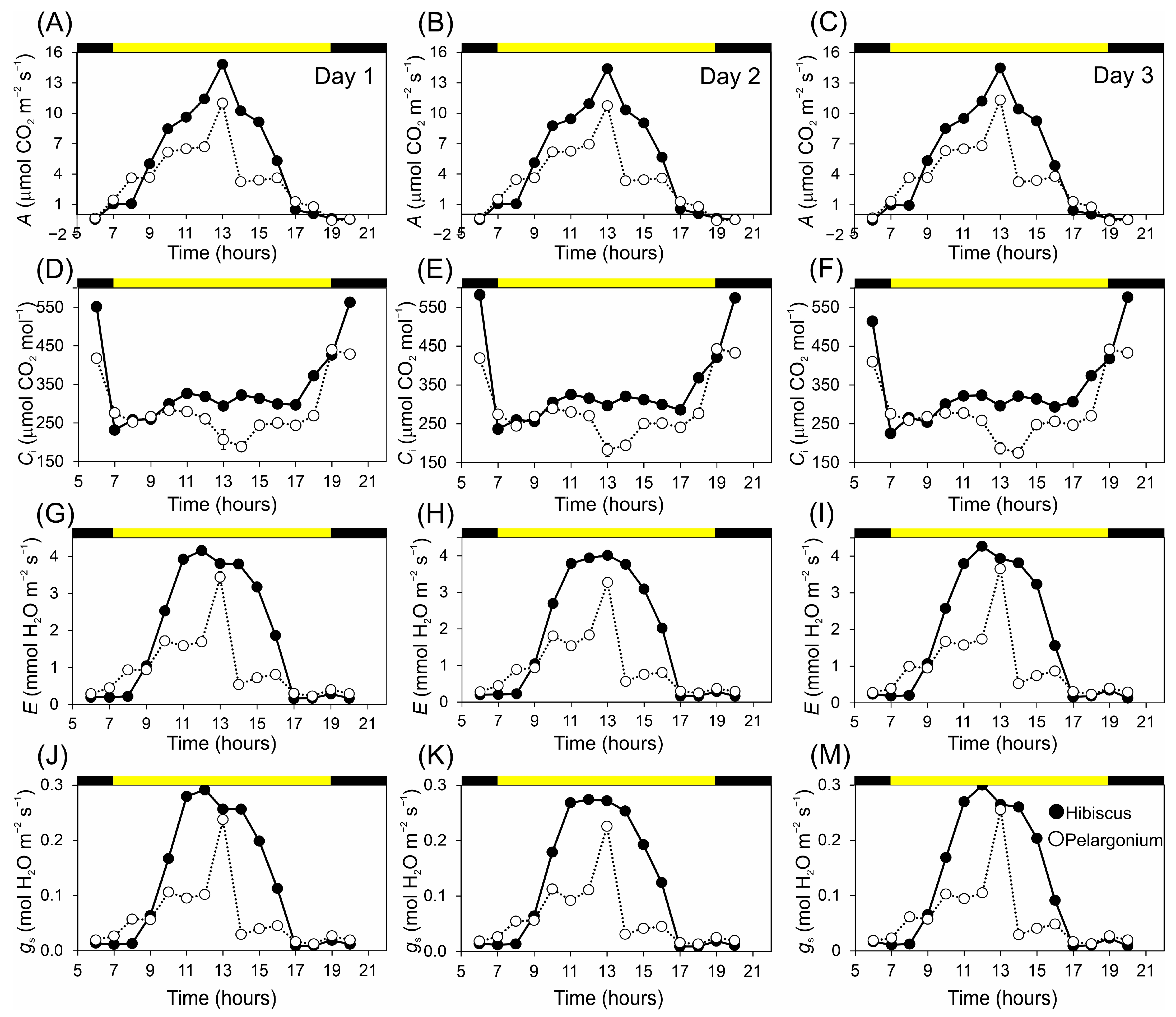 Plants 13 02831 g004