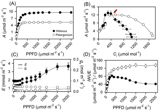 Plants 13 02831 g005