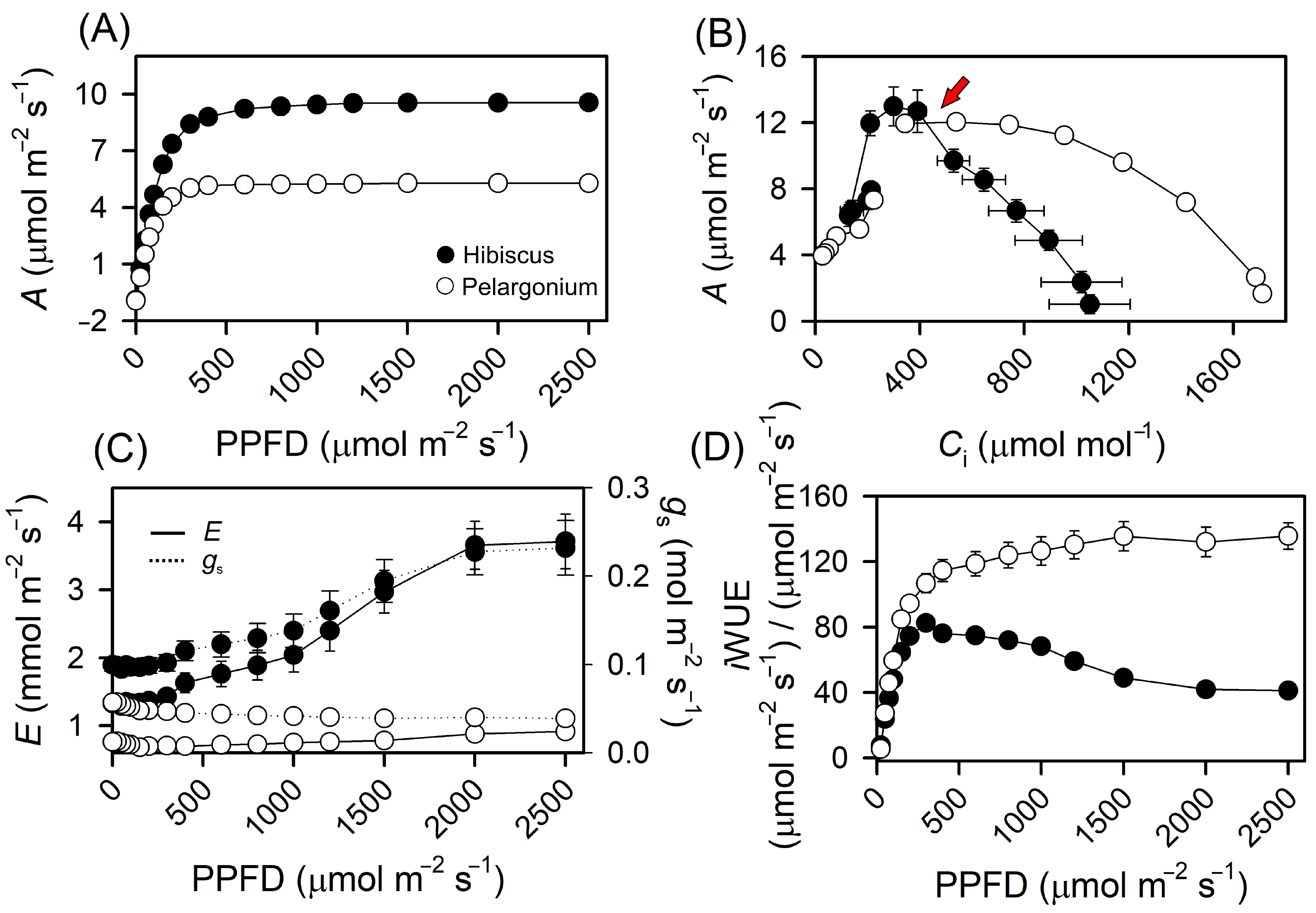 Plants 13 02831 g005