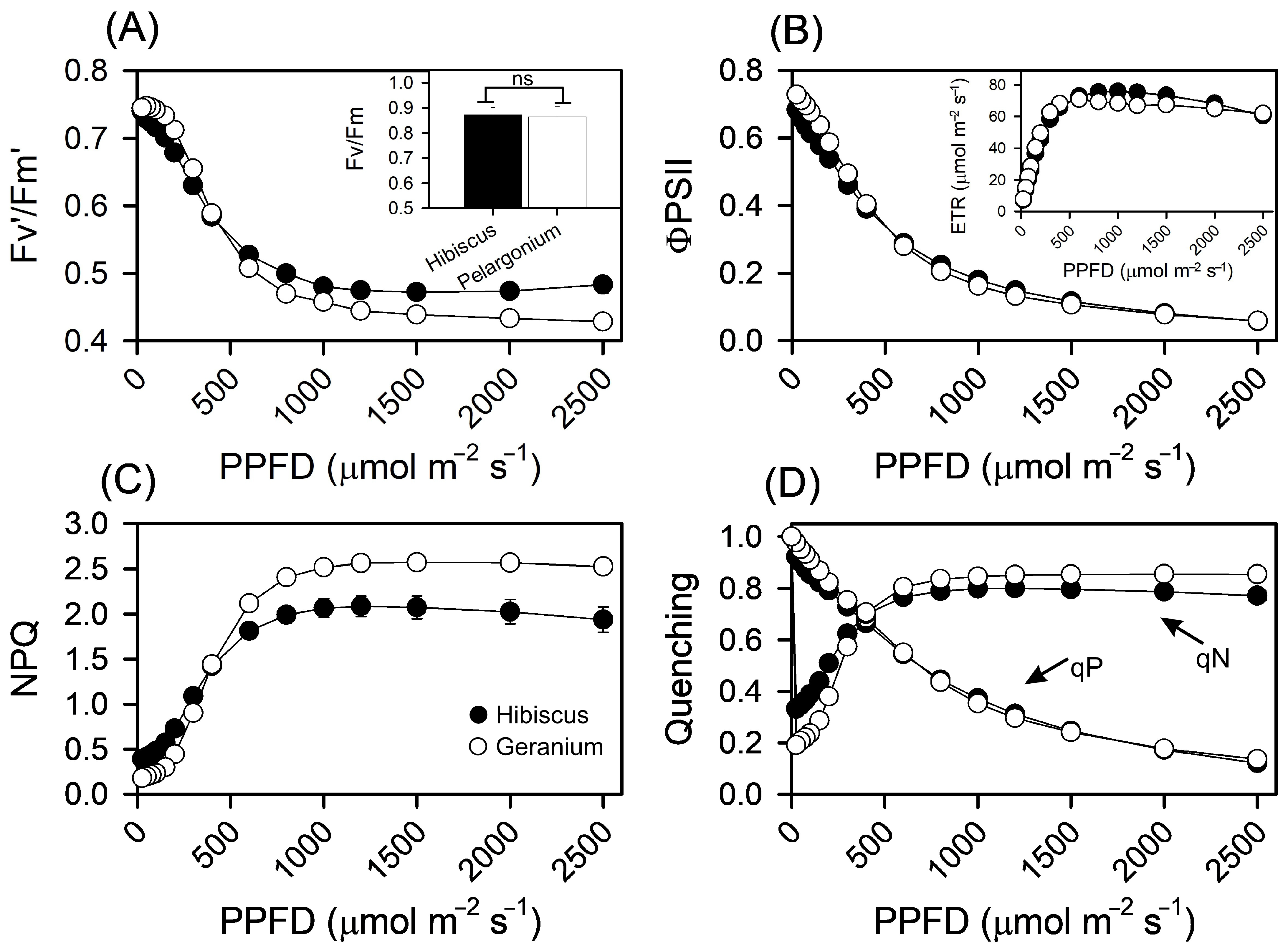 Plants 13 02831 g006