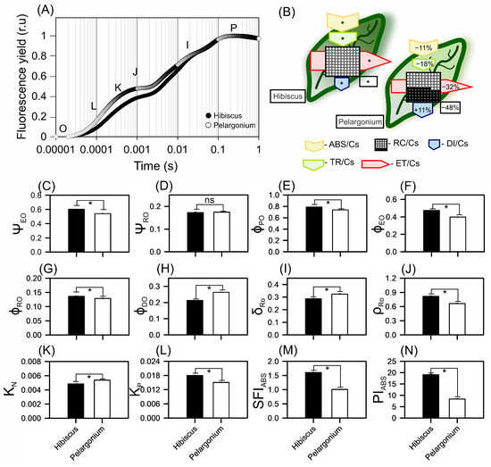 Plants 13 02831 g007