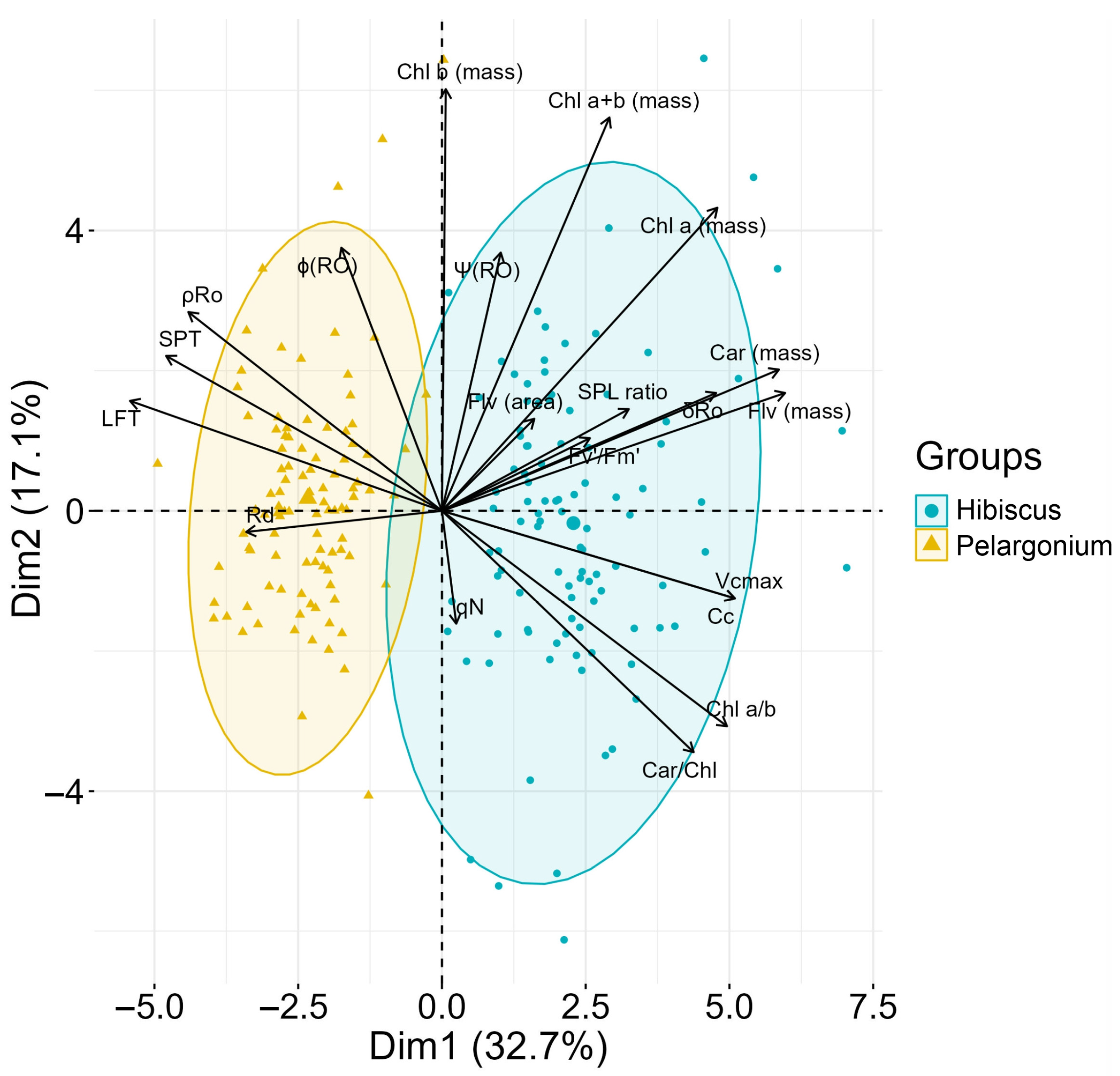 Plants 13 02831 g012