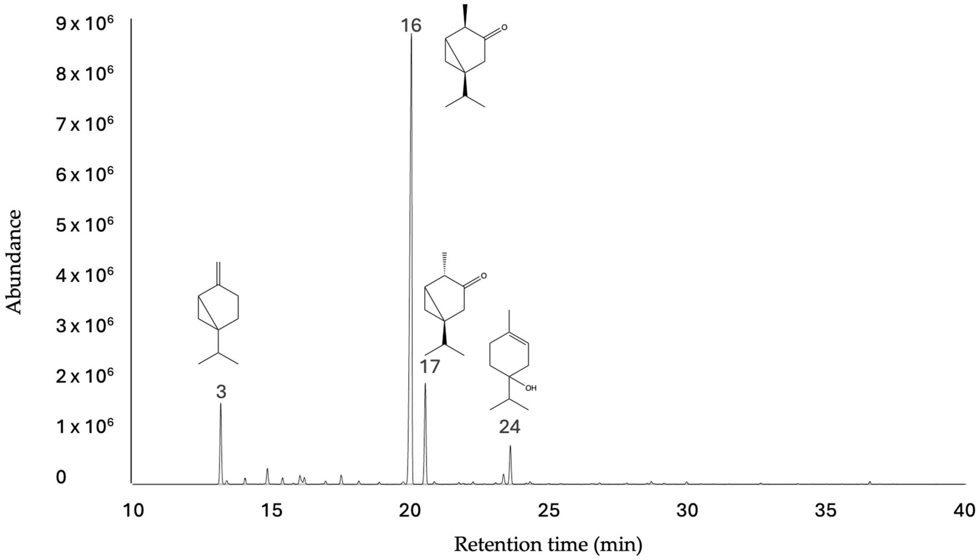 Plants 13 02834 g001