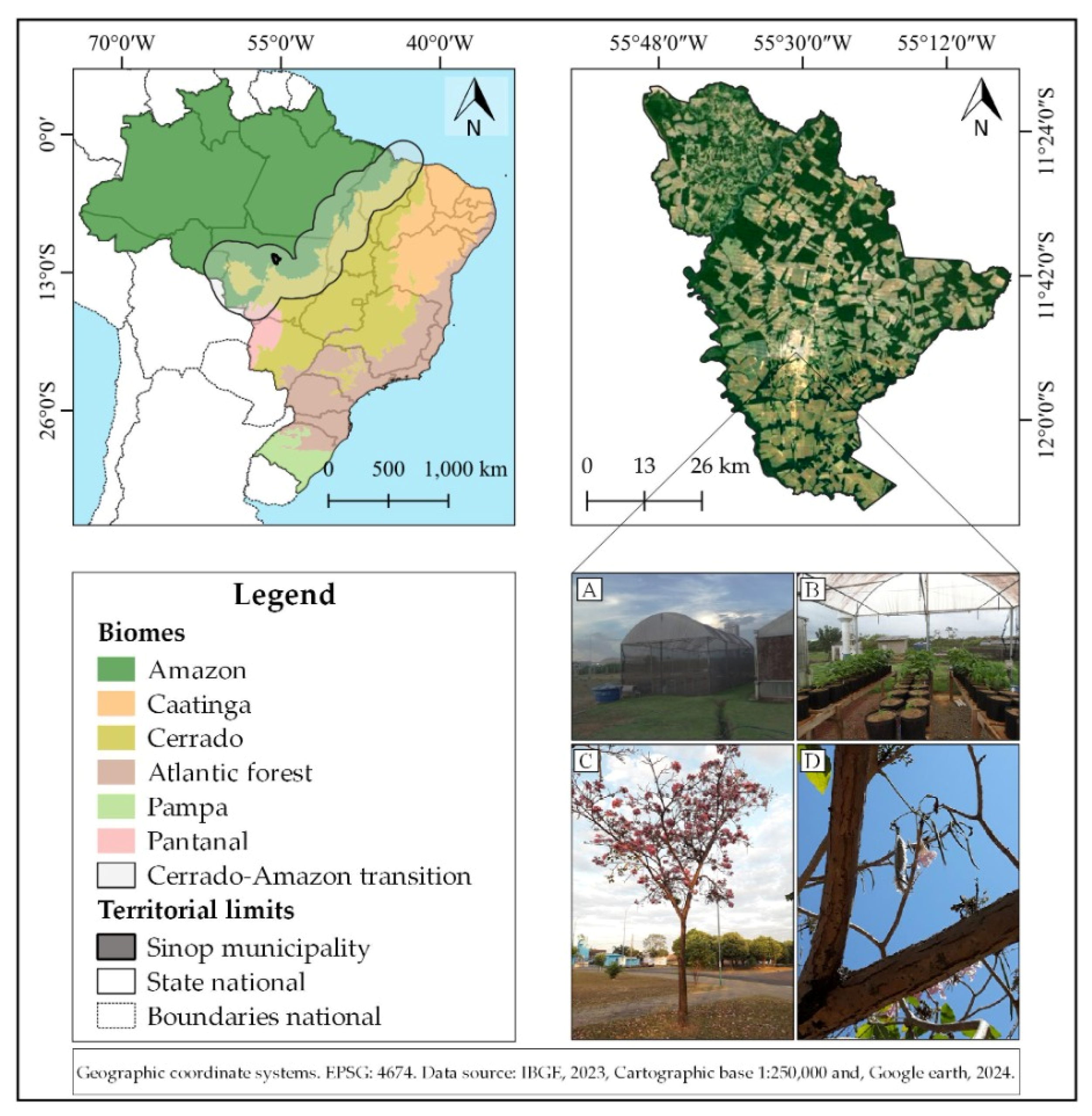 Plants 13 02850 g001