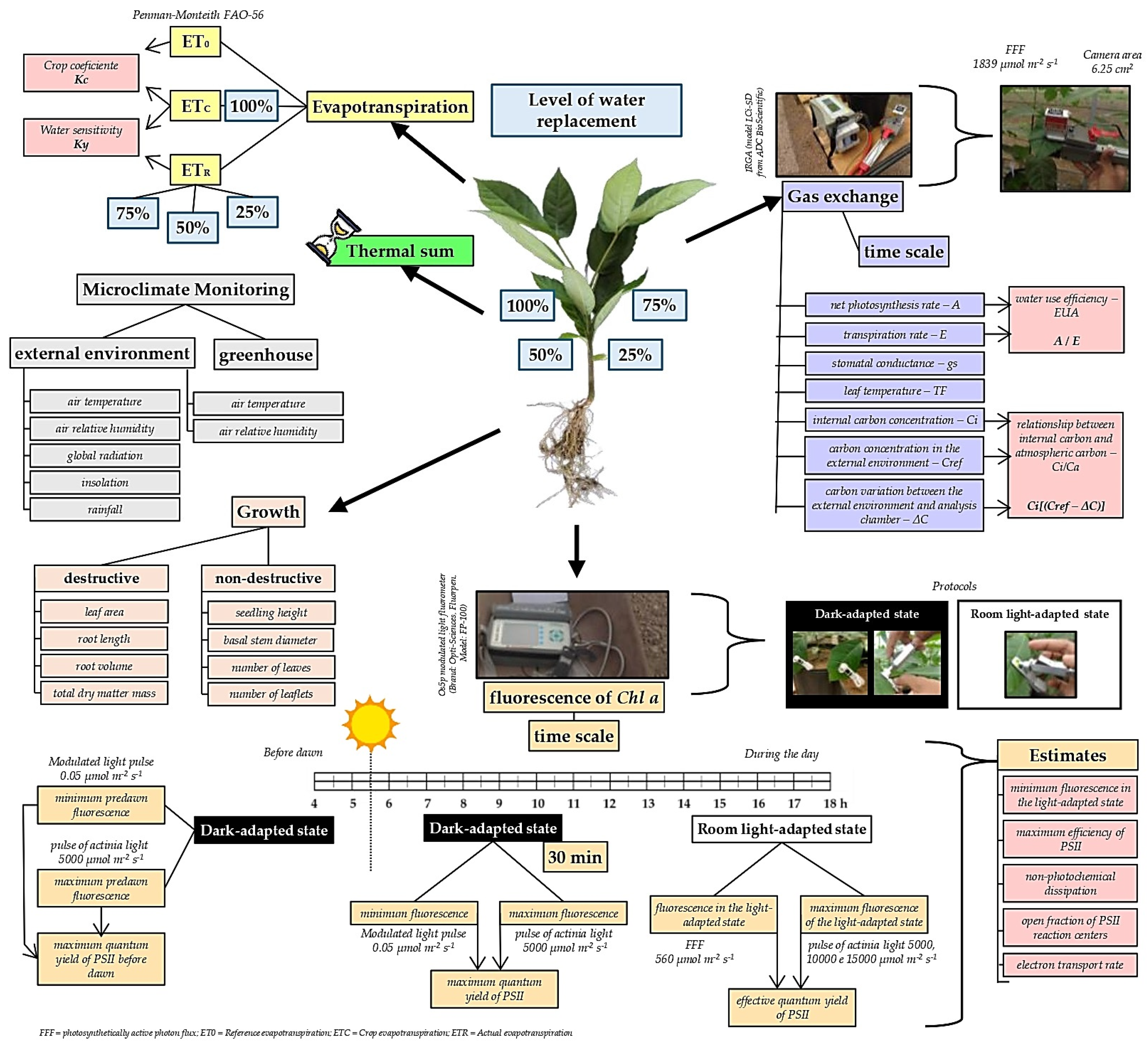 Plants 13 02850 g002