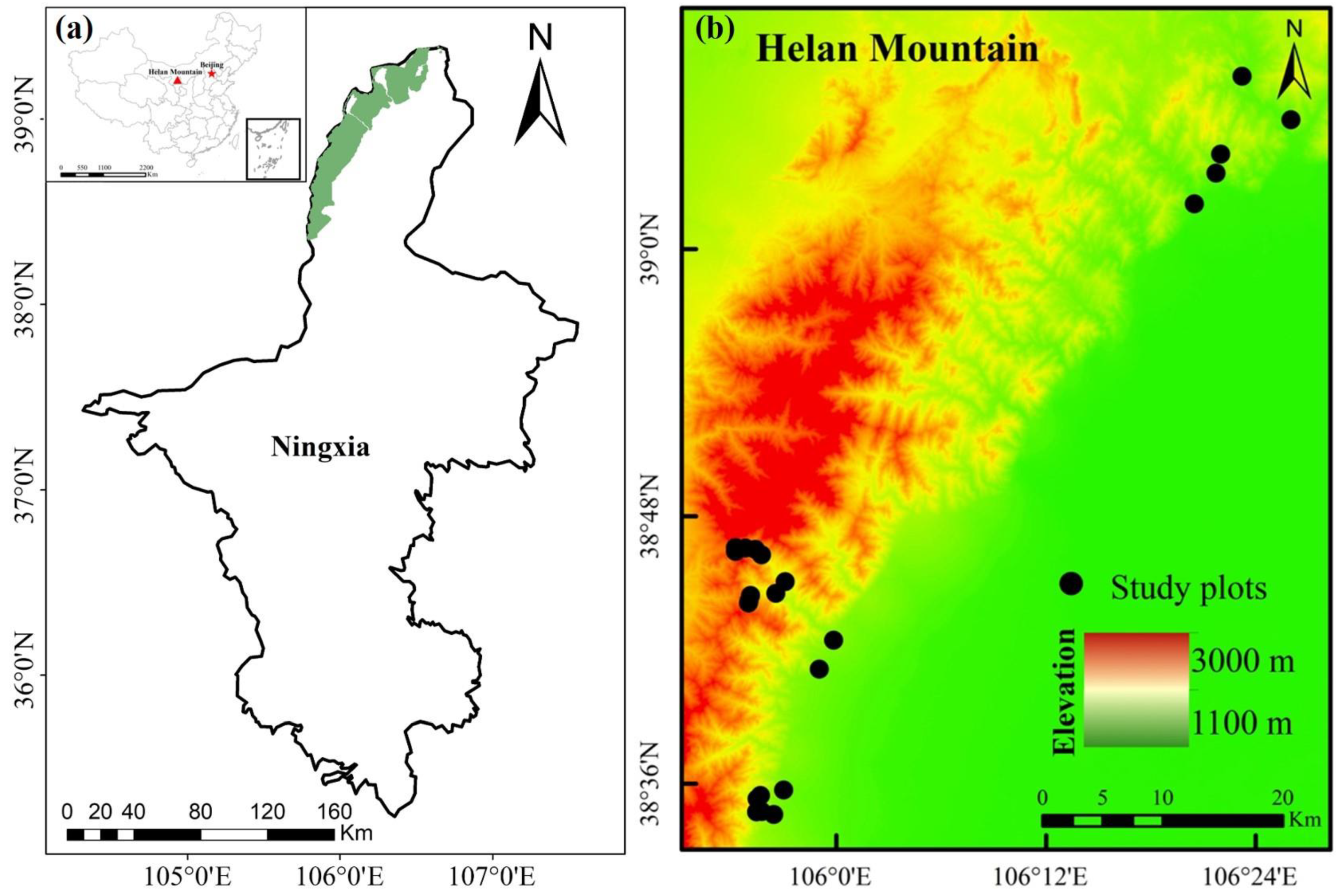 Plants 13 02858 g008