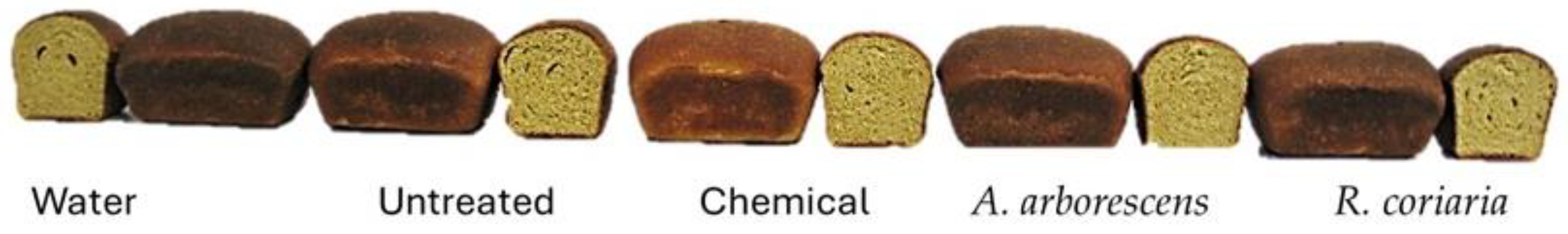 Plants 13 02859 g001