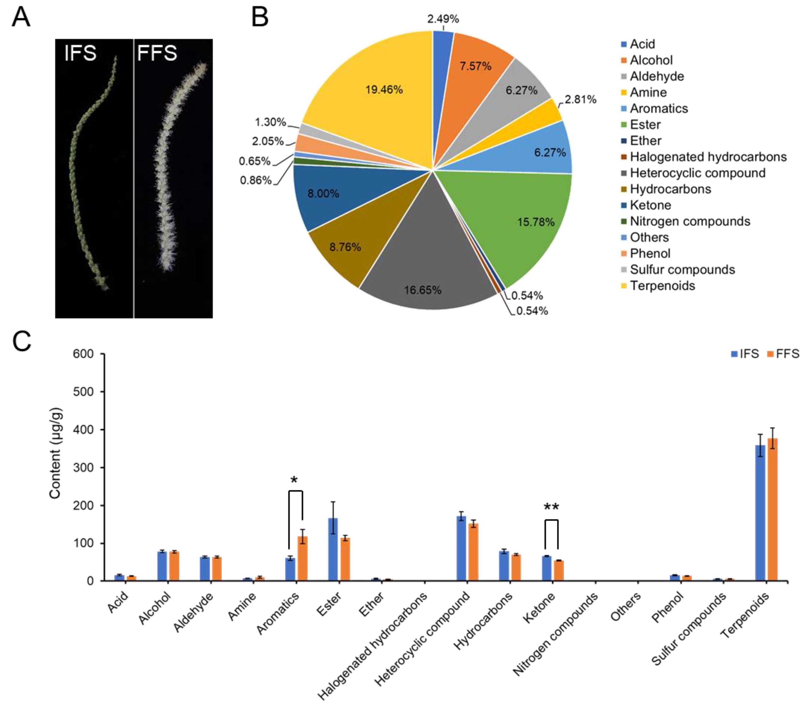 Plants 13 02865 g001