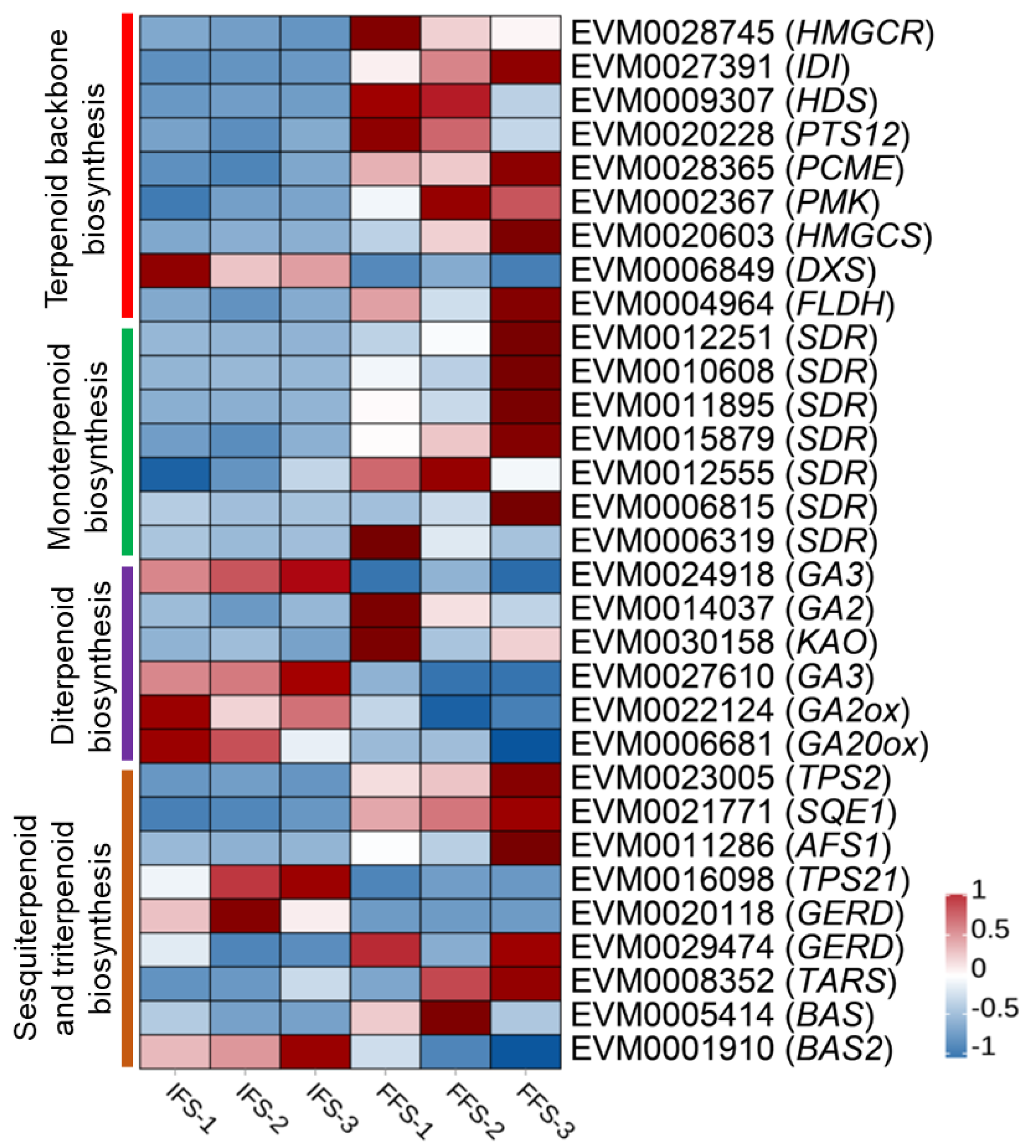 Plants 13 02865 g004