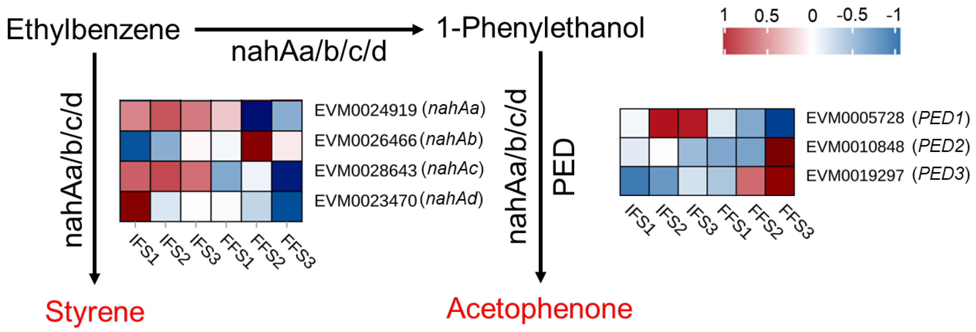 Plants 13 02865 g005