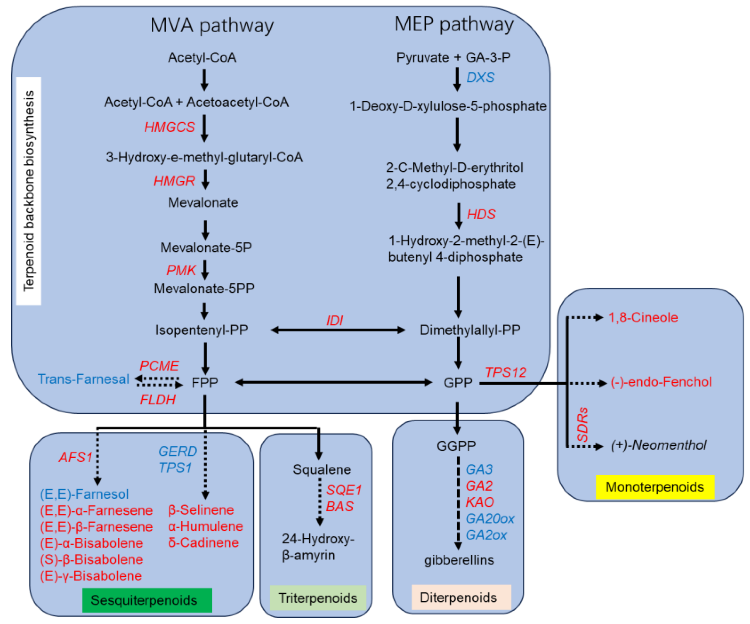Plants 13 02865 g006