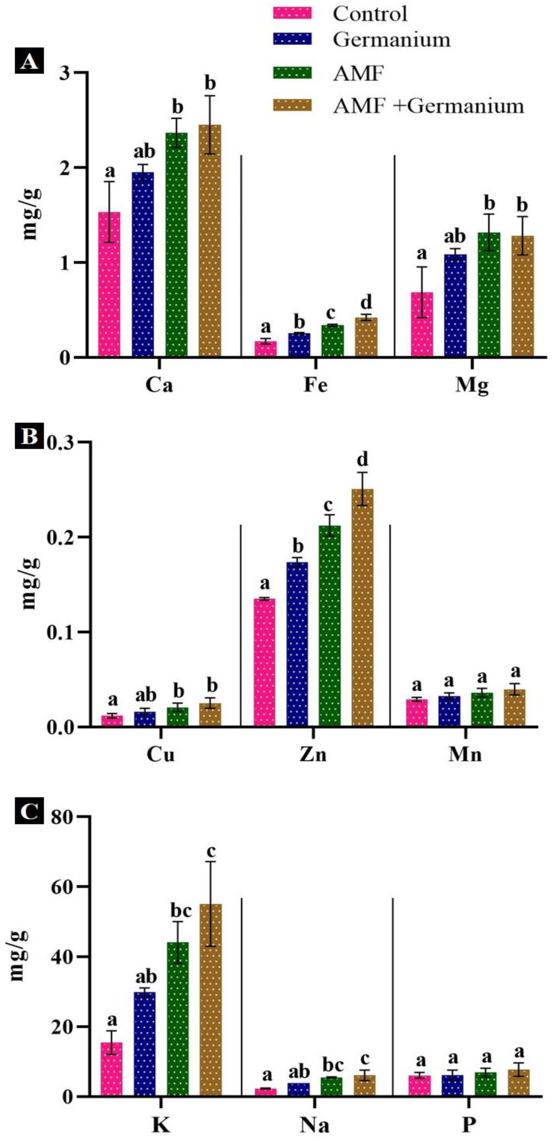 Plants 13 02869 g004