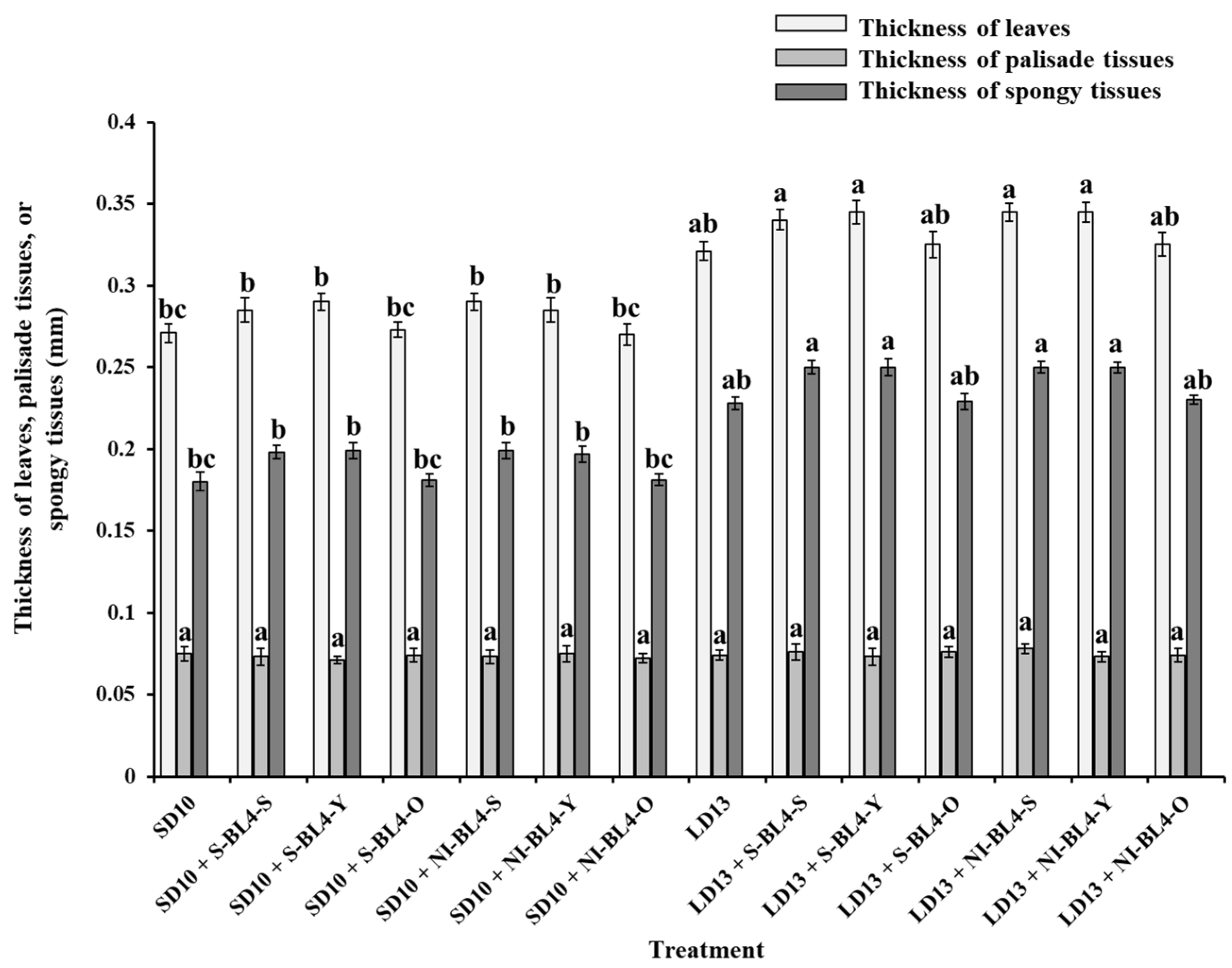 Plants 13 02874 g004