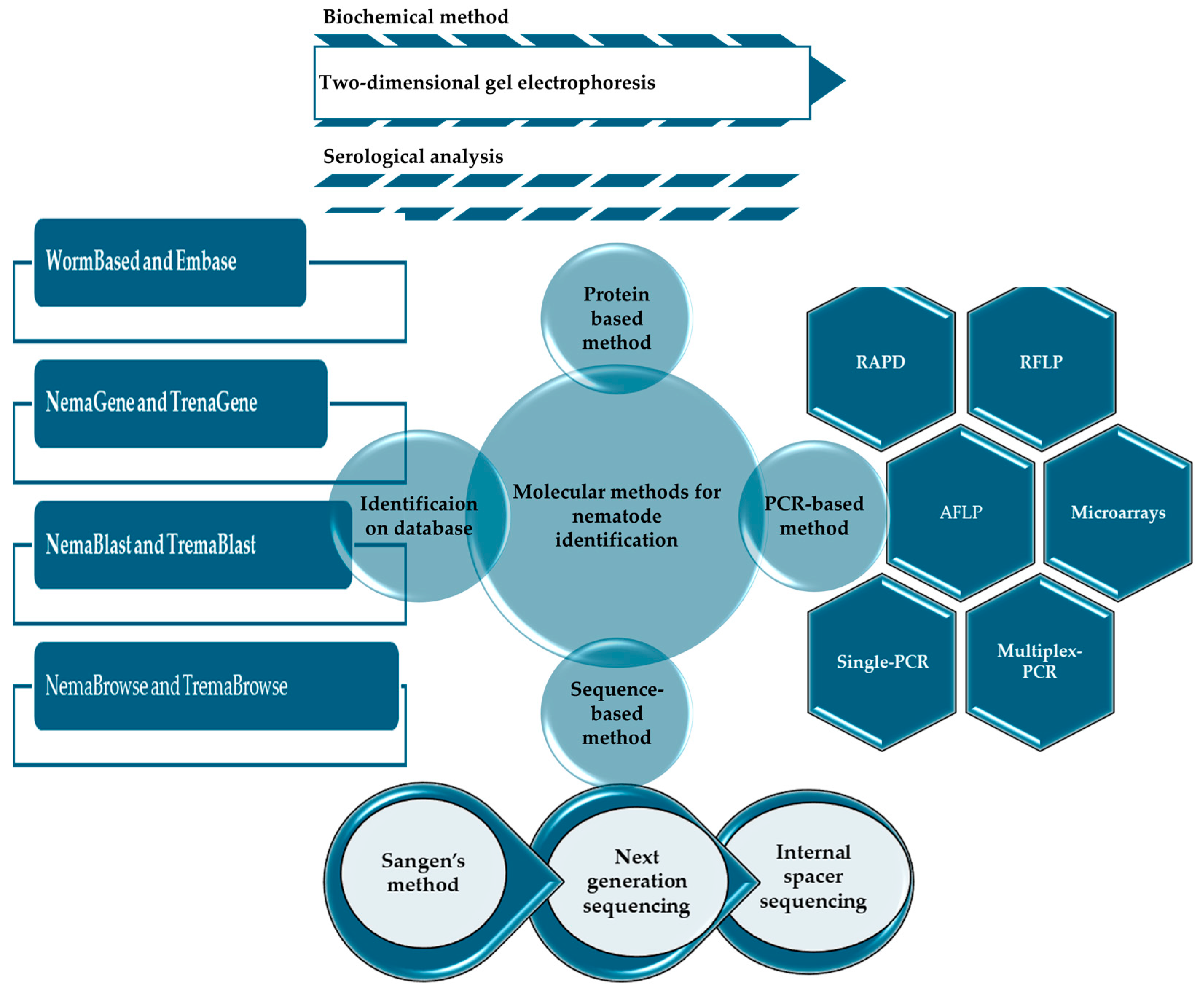 Plants 13 02876 g003