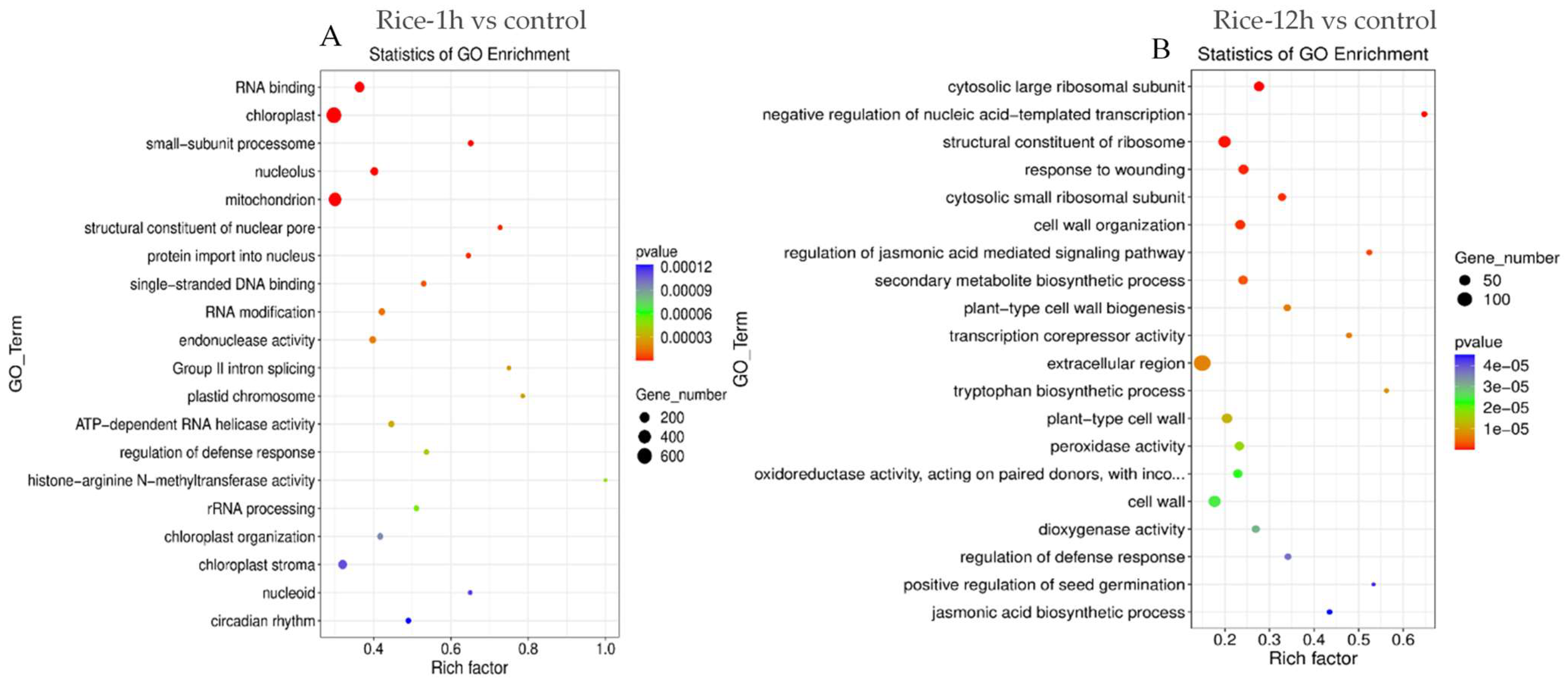 Plants 13 02879 g003