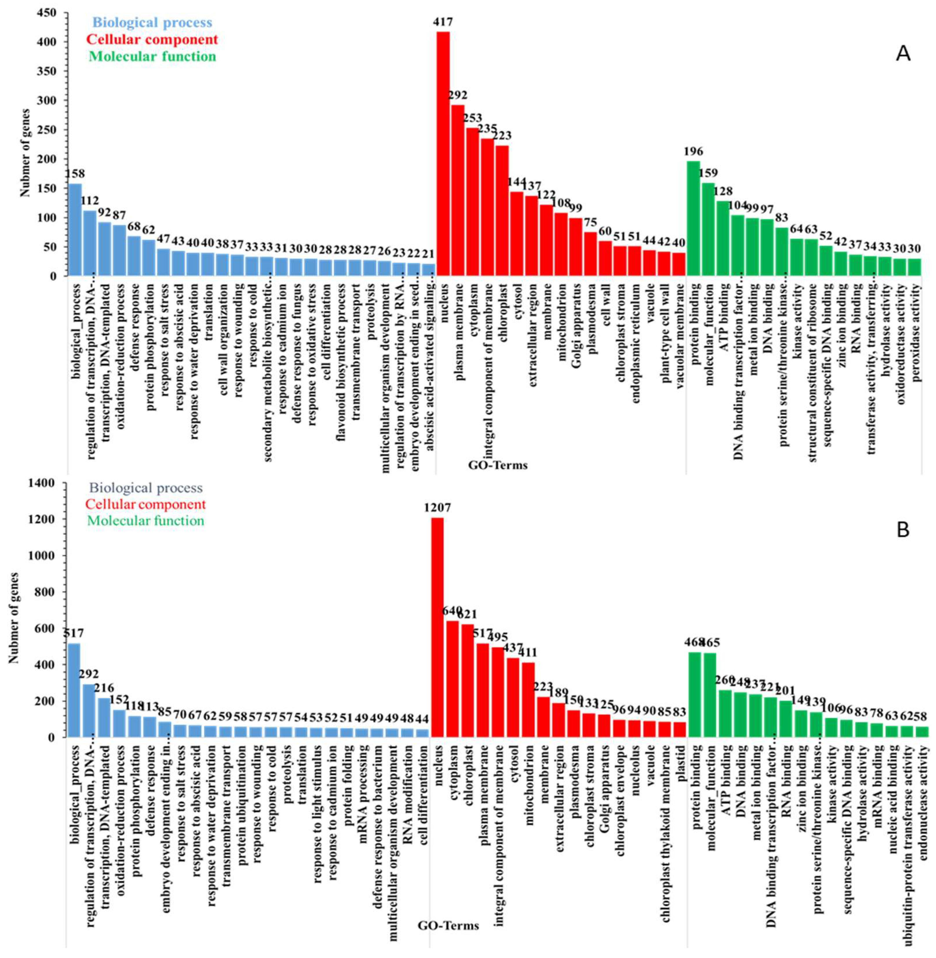 Plants 13 02879 g004