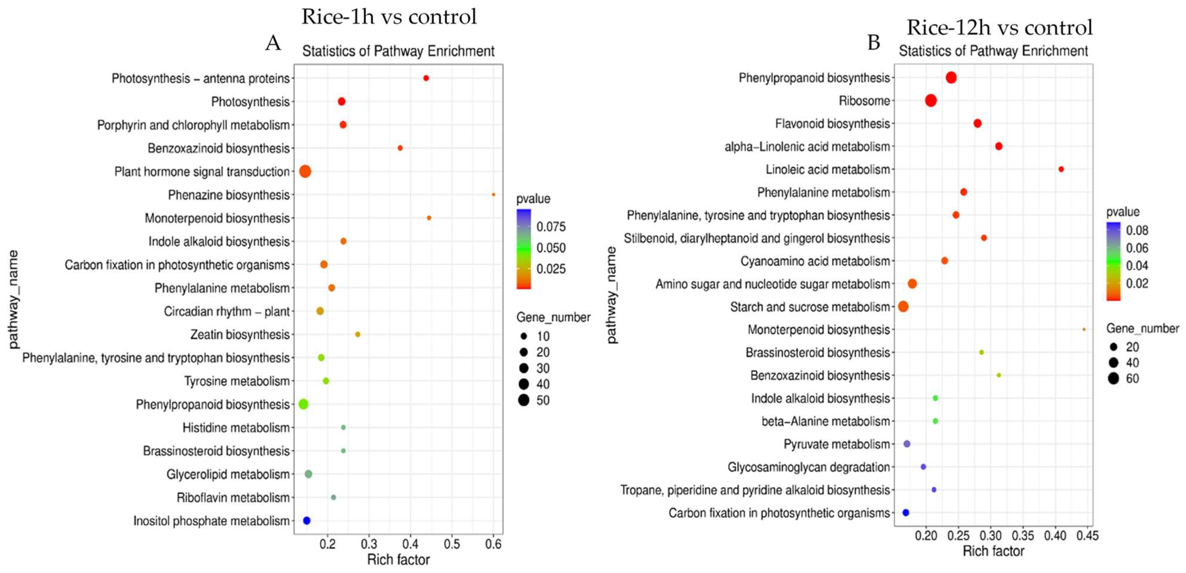 Plants 13 02879 g005