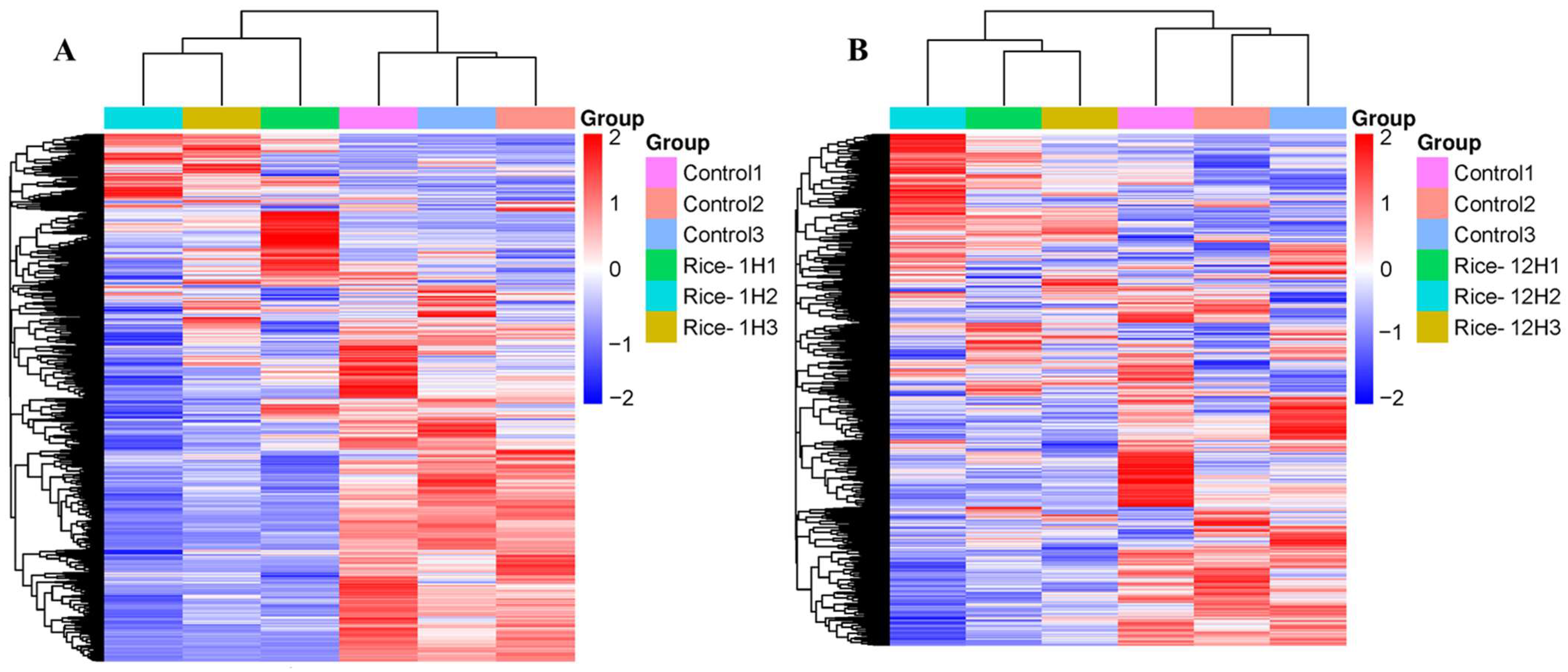 Plants 13 02879 g006
